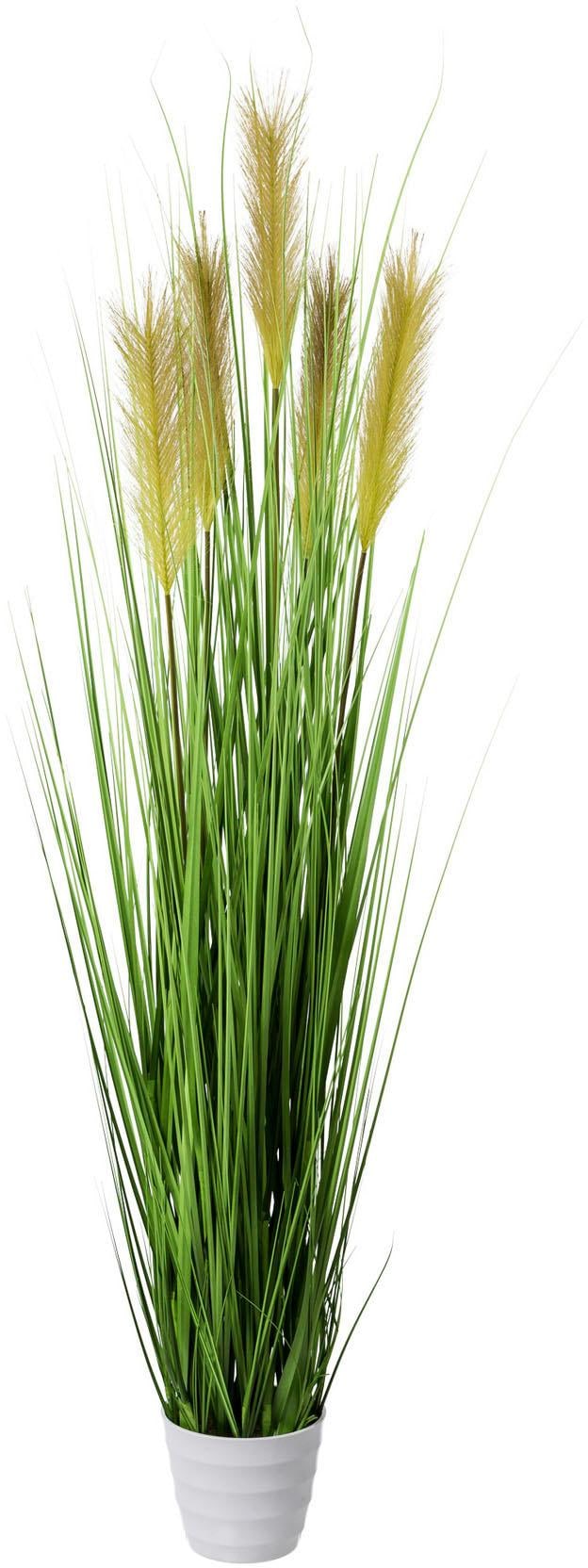 Creativ green Kunstgras günstig online kaufen