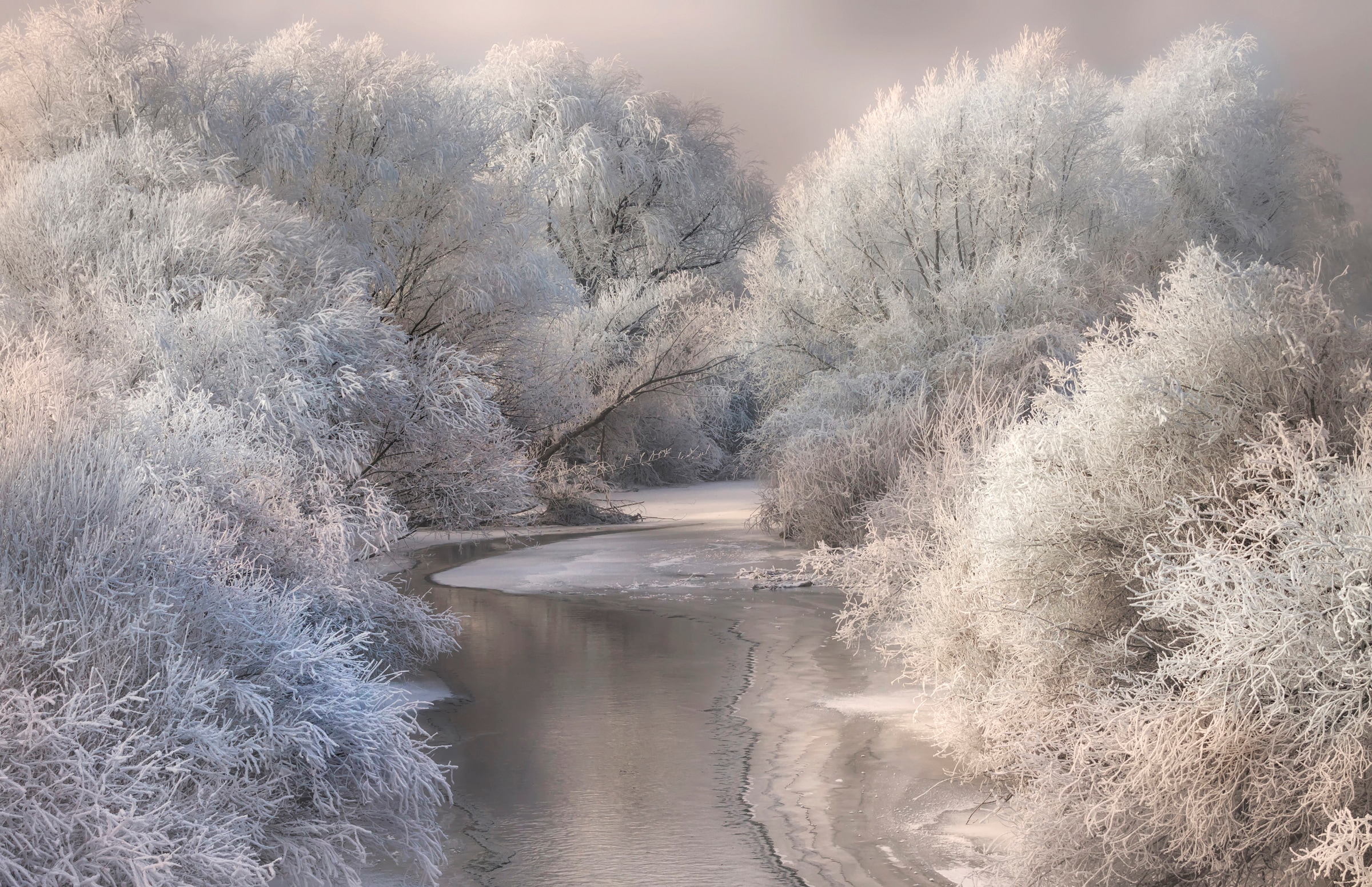 Papermoon Fototapete "Photo-Art SEBESTYEN BELA, WINTERLIED"