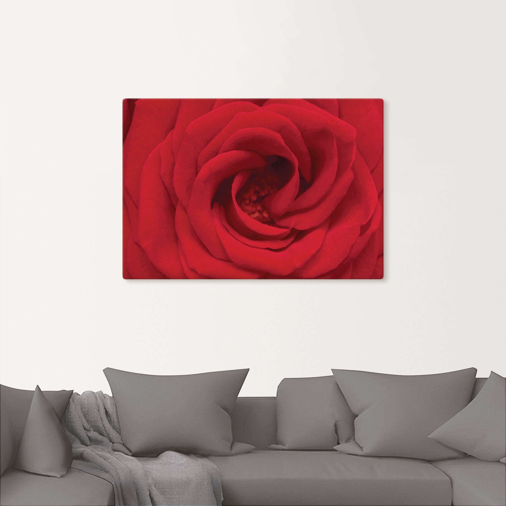 Artland Wandbild »Rote Rose«, Blumen, (1 St.), als Alubild, Outdoorbild, Leinwandbild in verschied. Größen