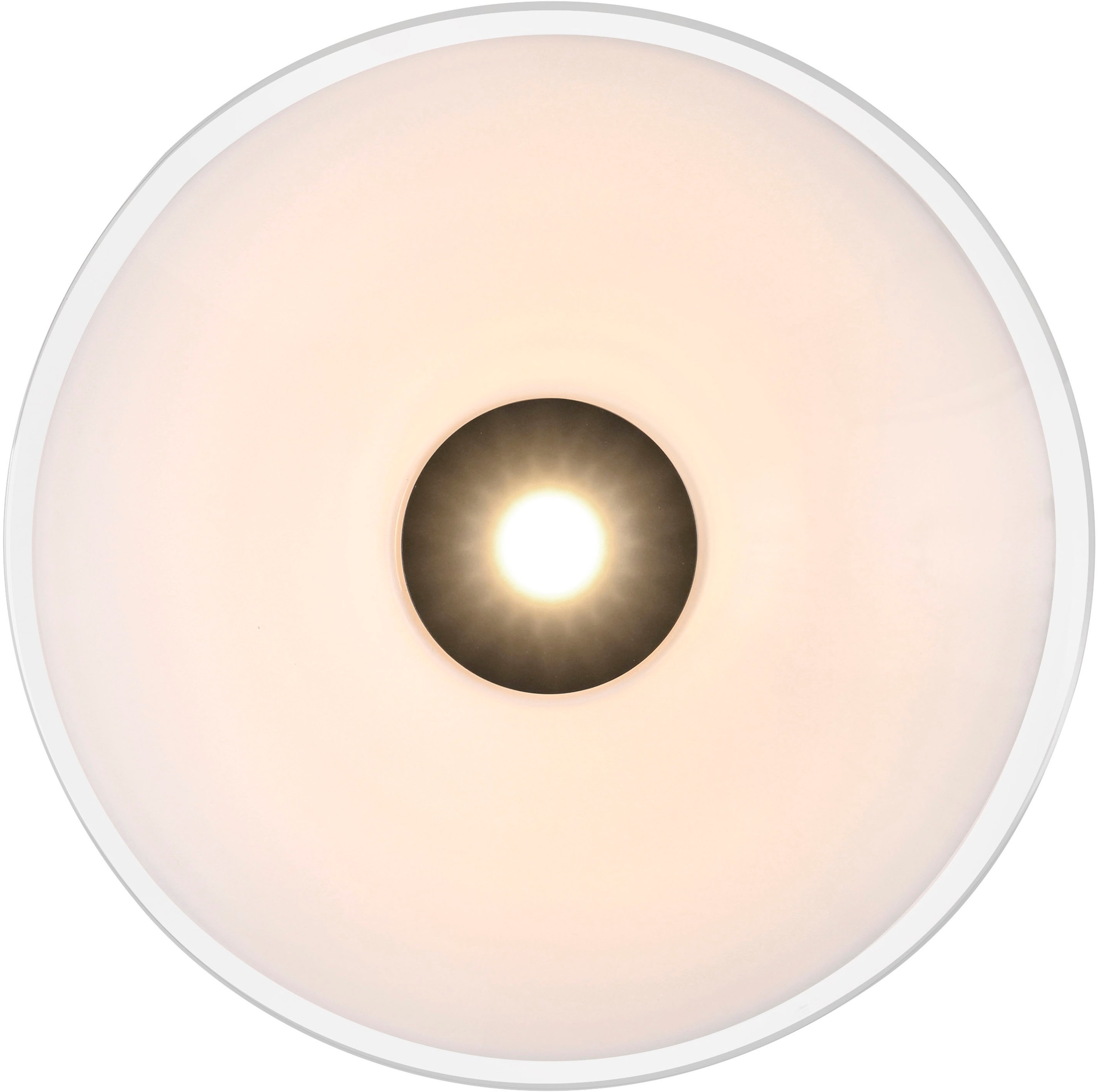 Paul Neuhaus LED Deckenleuchte »ELIPSA« LED-Board 1 Stk. Warmweiß Dimmfähig über separaten Tronicdimmer, Opalglas