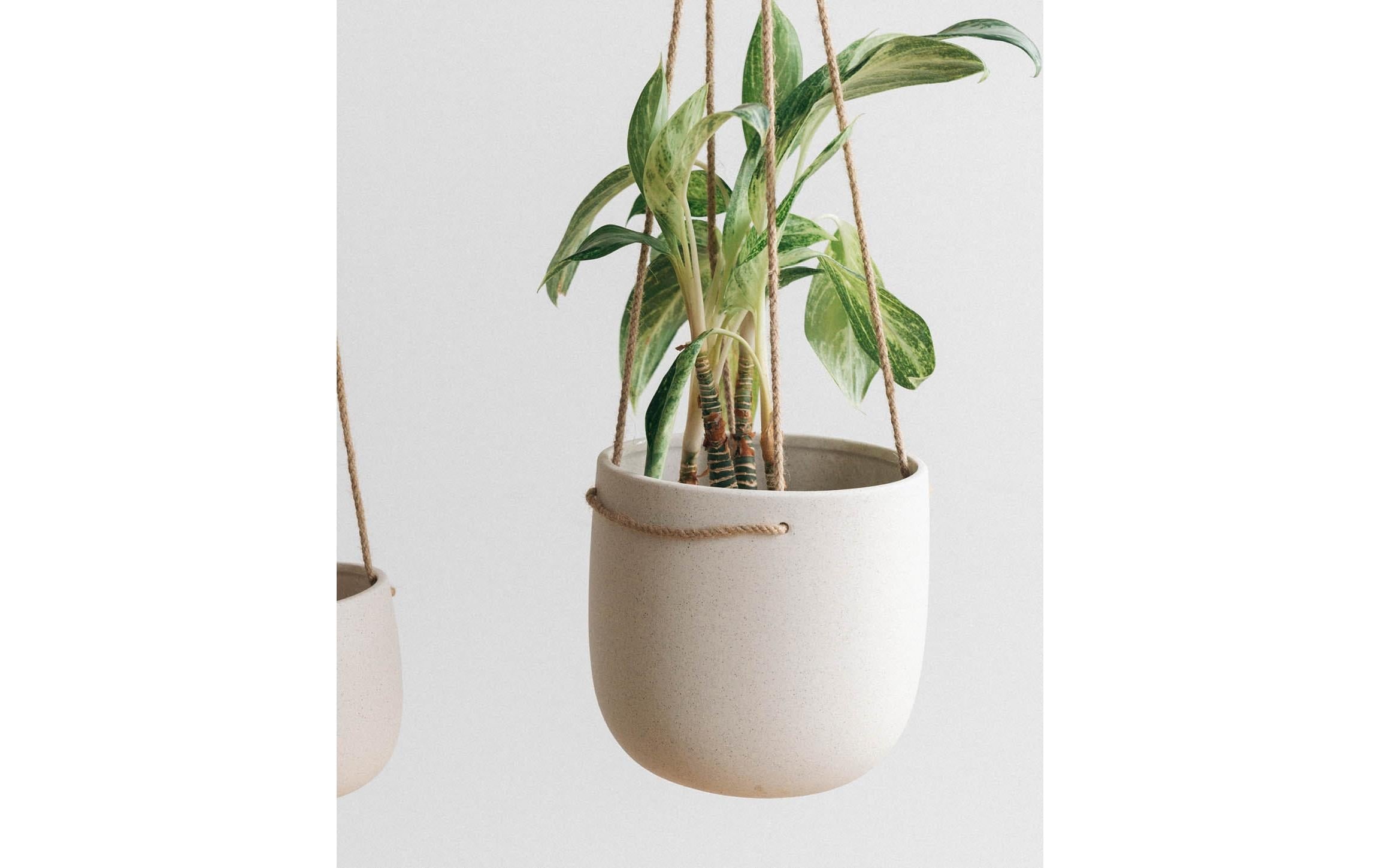 Esmée Blumentopf »zum Hängen 18 cm, Beige«