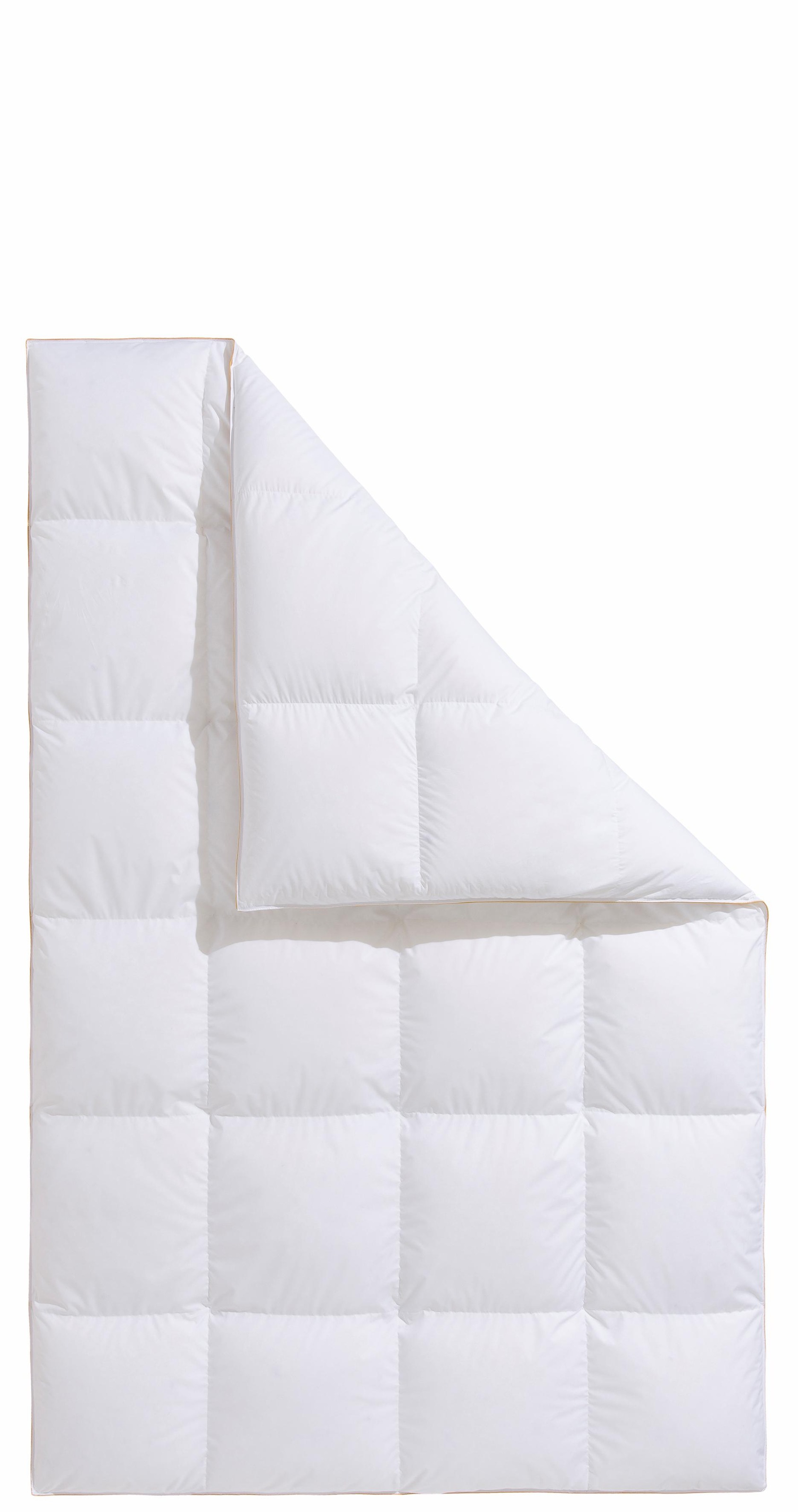 Frau Holle Daunenbettdecke "Zara, Bettdecken für Sommer oder Winter, herges günstig online kaufen