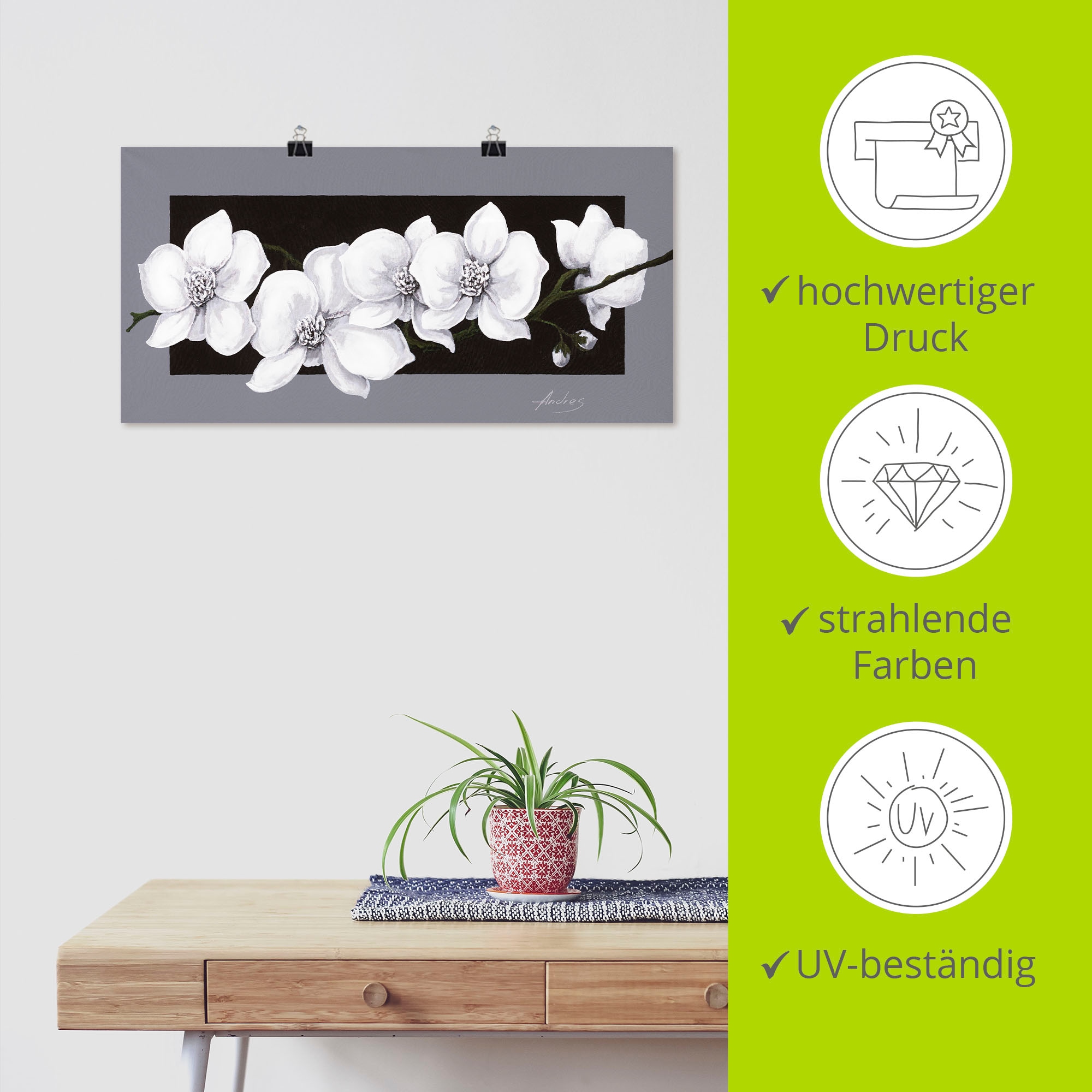 Artland Wandbild »Weiße Orchideen auf grau« Blumen 1 Stk. tlg. als Alubild, Leinwandbild, Poster in verschied. Größen