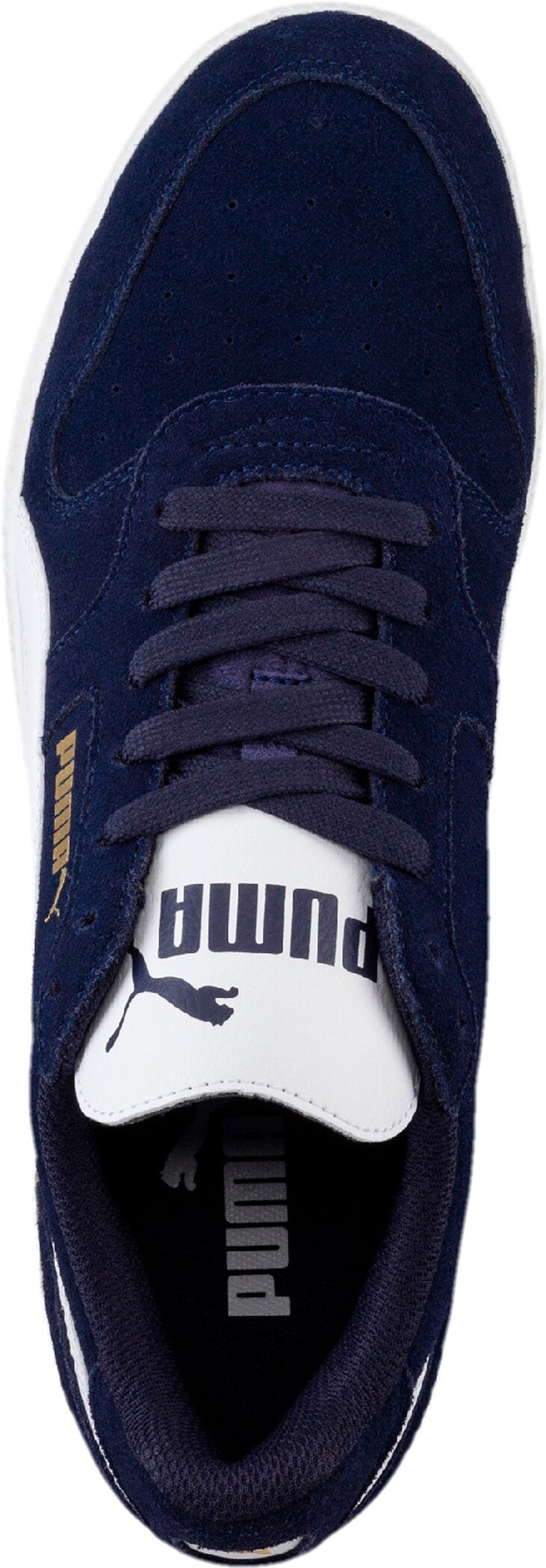 PUMA Sneaker »ICRA TRAINER SD«