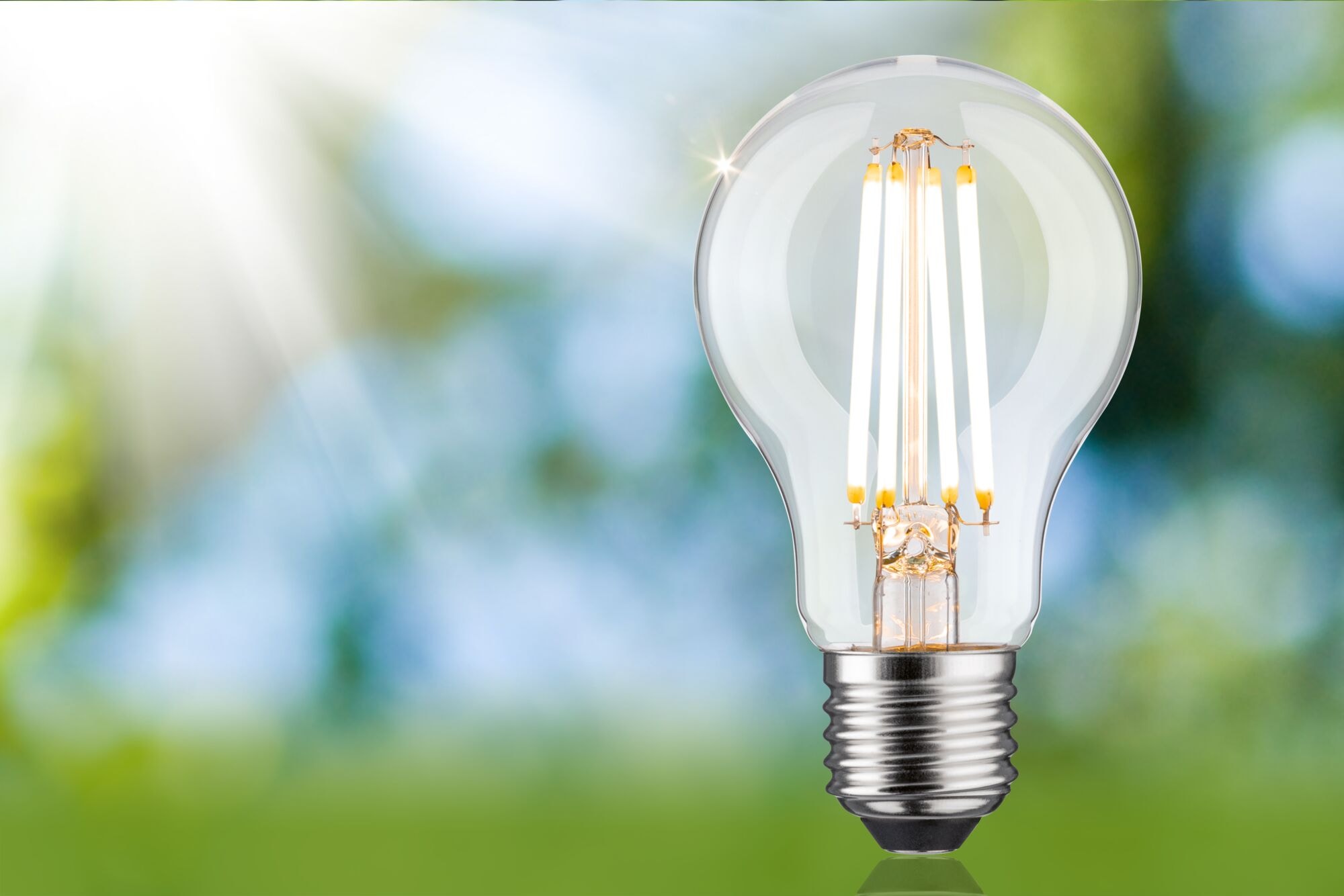 Paulmann LED-Leuchtmittel »Eco-Line Filament 230V LED Birne E27 806lm 4,3W 3000K dimmbar Klar«, E27, 1 St., Warmweiß