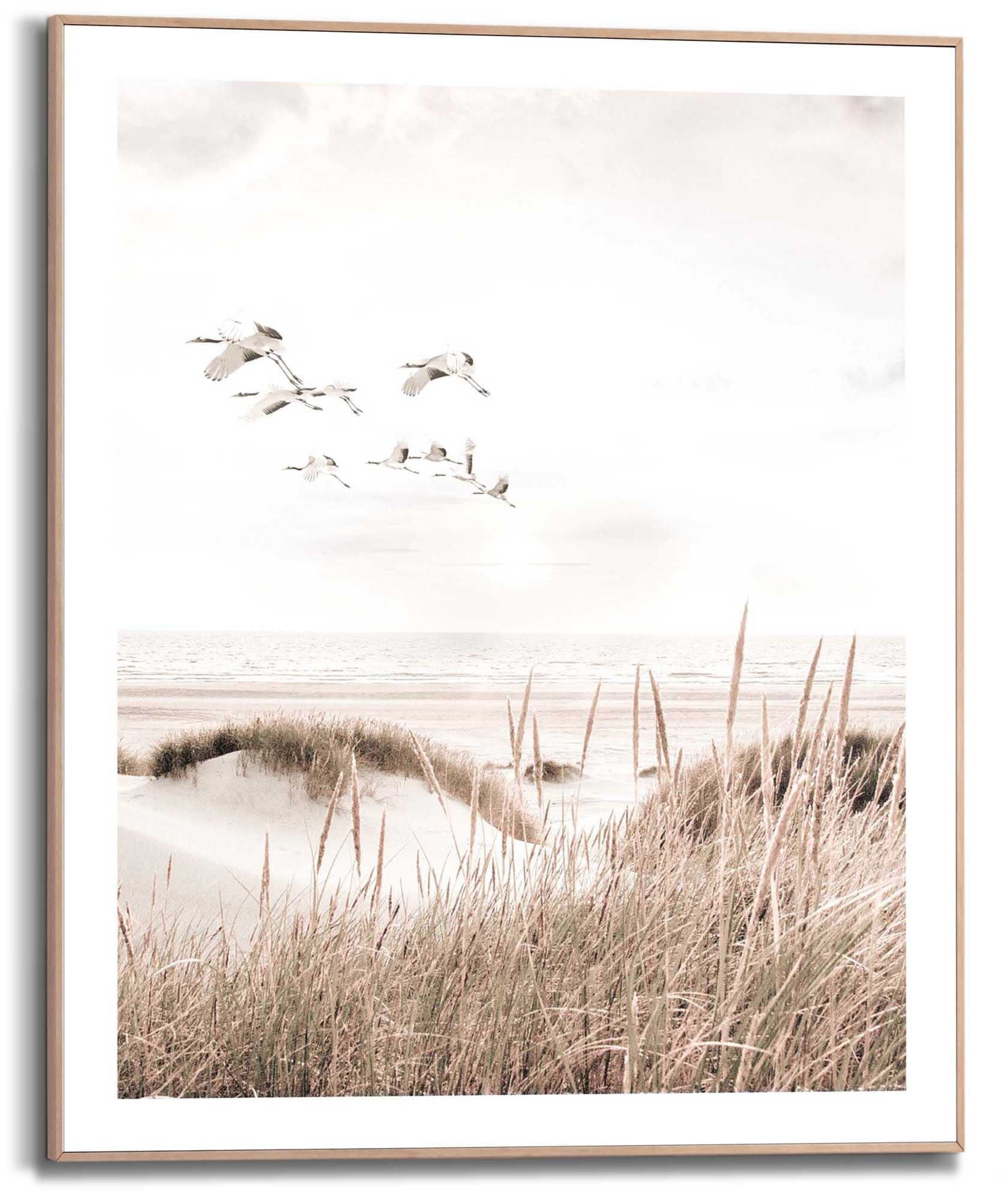 Reinders Poster "Kraniche" im Holzrahmen günstig online kaufen