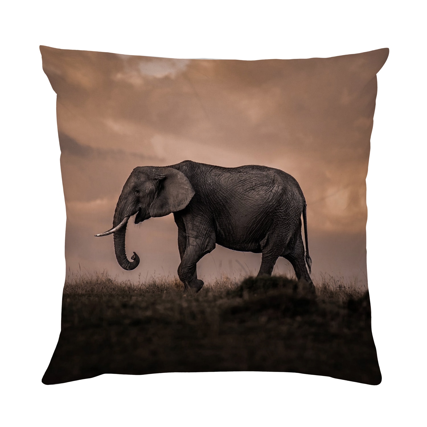 queence Dekokissen »Afrikanische Steppe«, Kissenhülle mit HD Premium Druck, geruchsneutral, 40x40cm