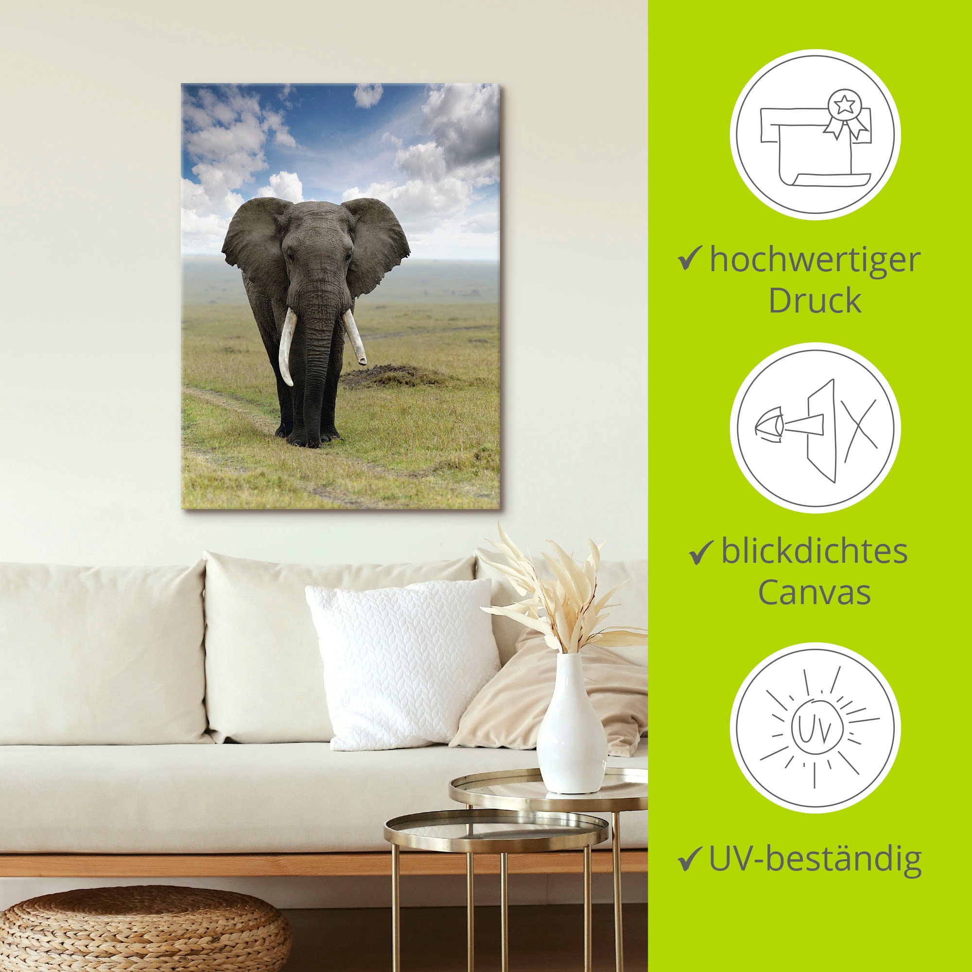 Artland Wandbild »Elefant«, Wildtiere, (1 St.), als Alubild, Outdoorbild, Leinwandbild, Poster in verschied. Größen