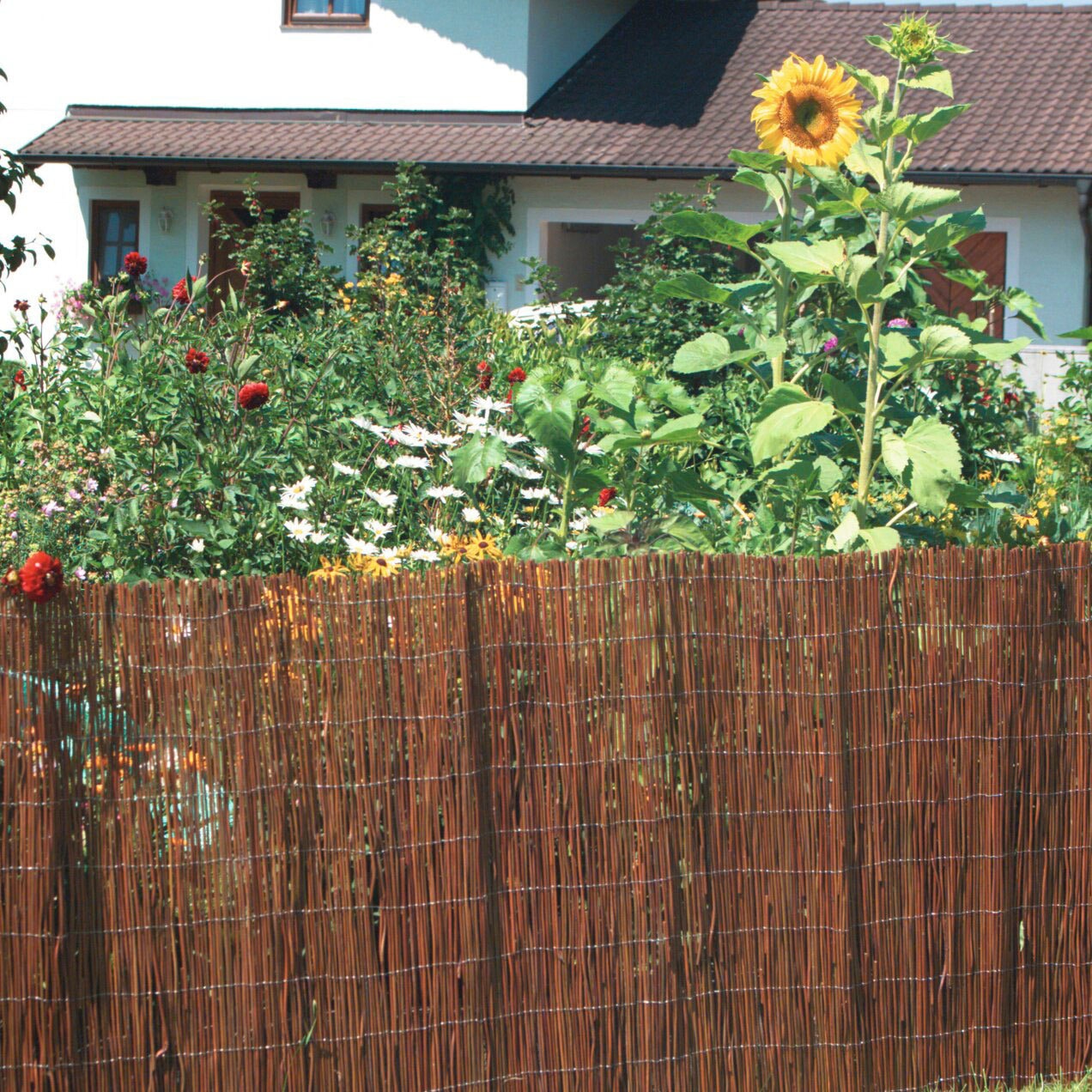 Windhager Sichtschutzzaunmatten, Sicht- und Windschutzmatte aus naturbelassenem Farn, L: 3 m