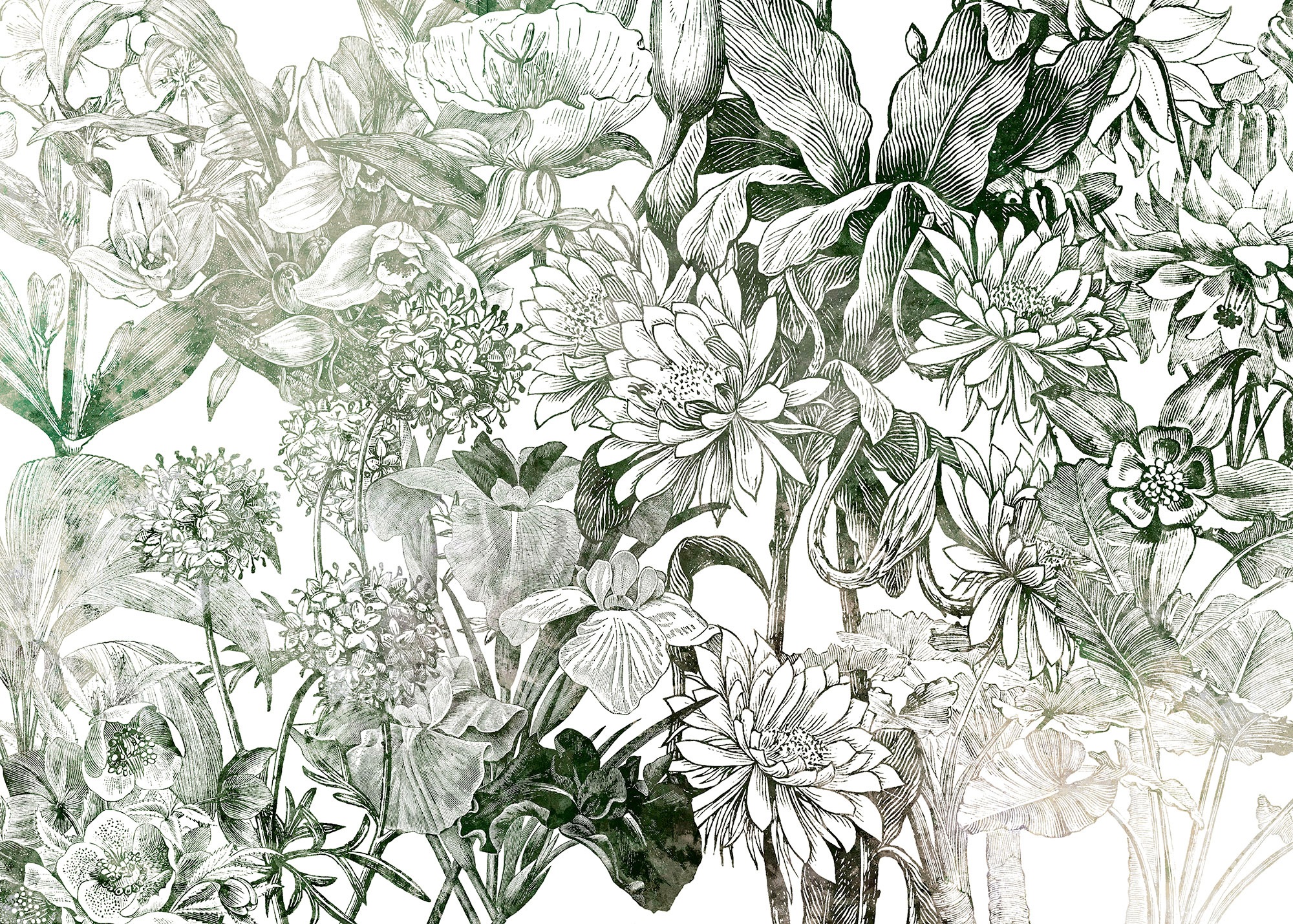 Komar Vliestapete »Valerie« 350x250 cm (Brei...