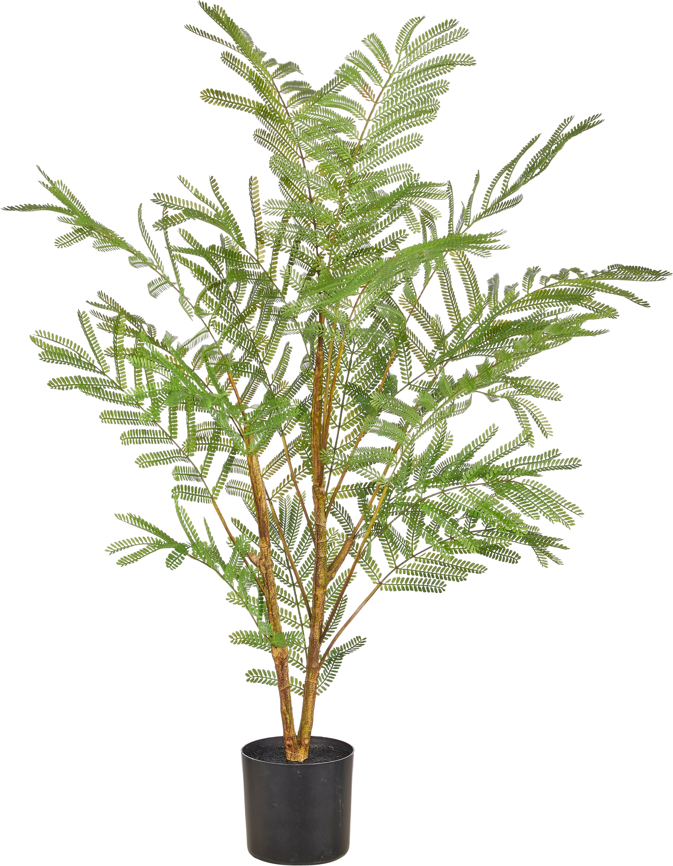 Creativ green Kunstbaum "Jacaranda mimosifolia" mit naturgetreu gestaltetem Blattwerk