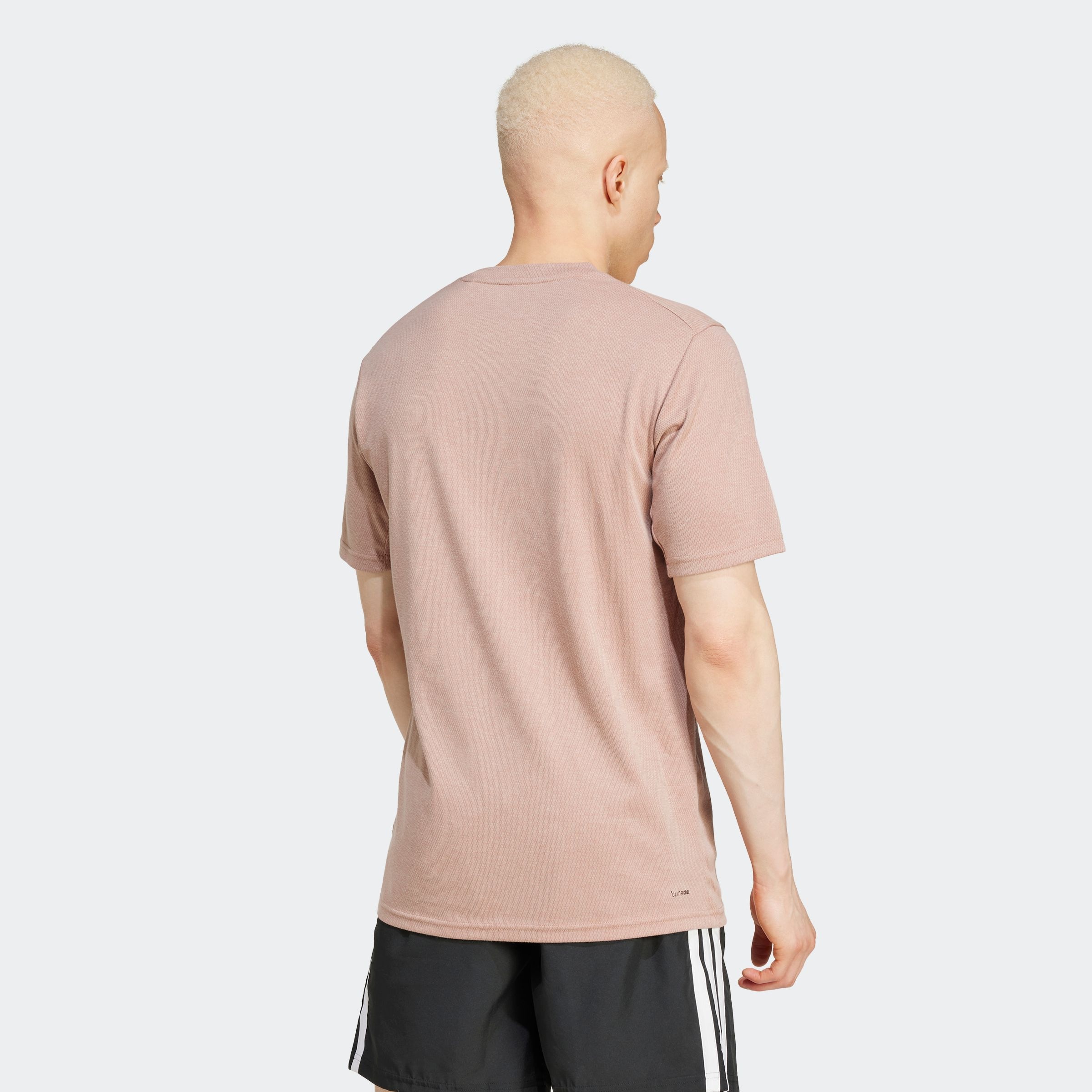 adidas Performance T-Shirt "TR-ES FR NOV T", Trainingsshirt mit CLIMACOOL, günstig online kaufen