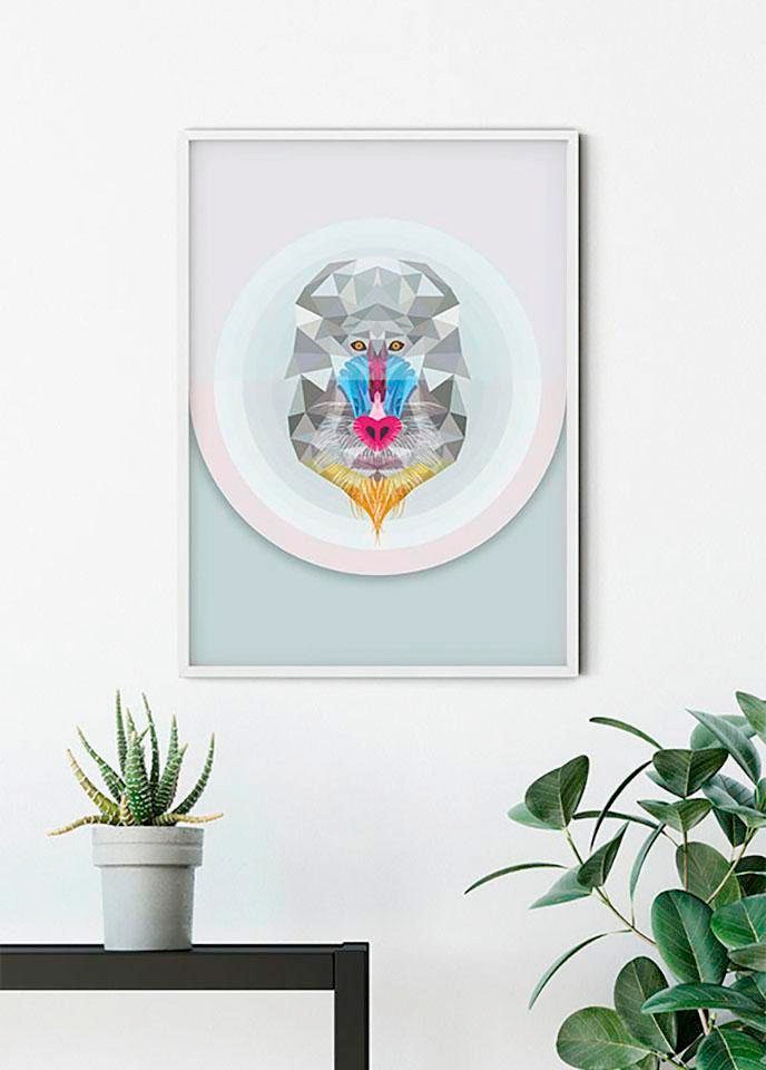 Bild KOMAR "Baboon", bunt (farbe bild(er): bunt), B:30cm H:40cm, Holz, Papier, Bilder, Bild, Wandbild zur Dekoration - ohne Rahmen