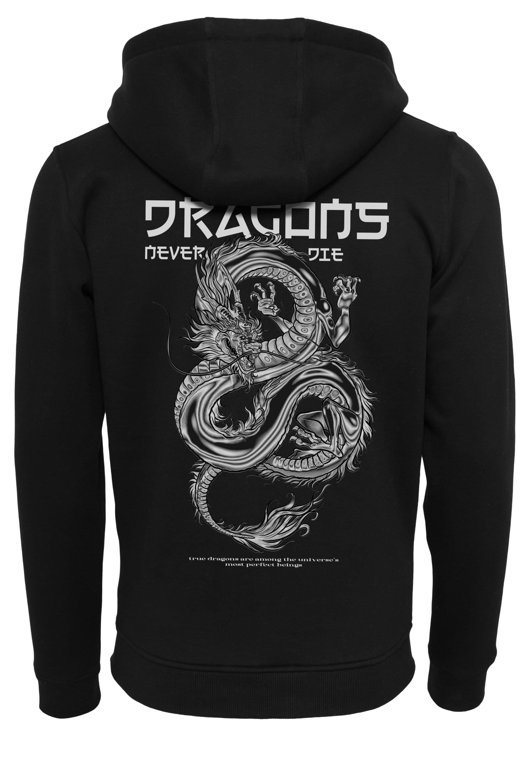 MisterTee Sweatjacke »MisterTee Herren Dragons Never Die Heavy Zip Hoody«