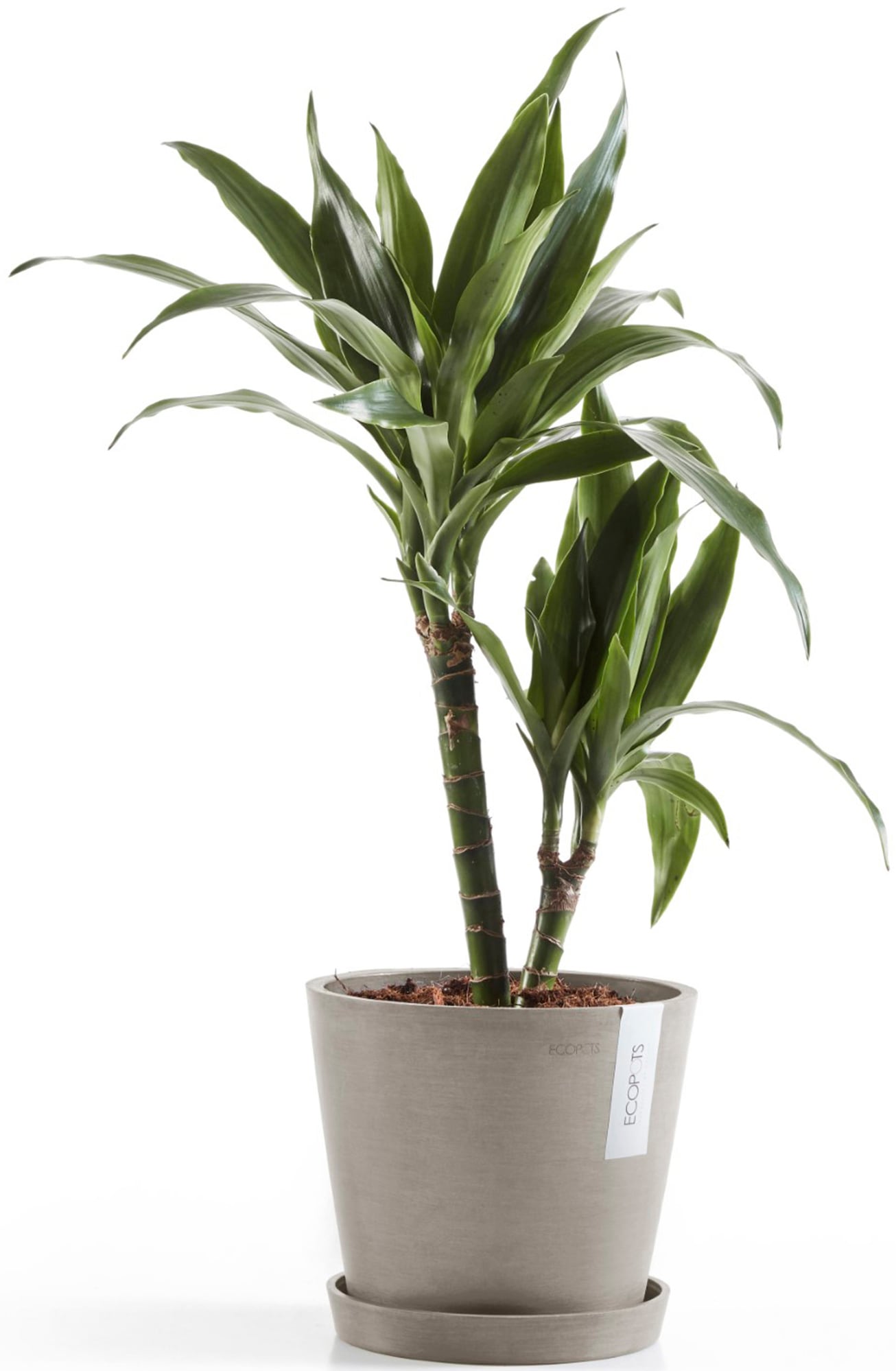 ECOPOTS Blumentopf »Amsterdam 20 + Wassersystem Taupe«, für innen und außen: frostsicher, bruchsicher und lichtbeständig