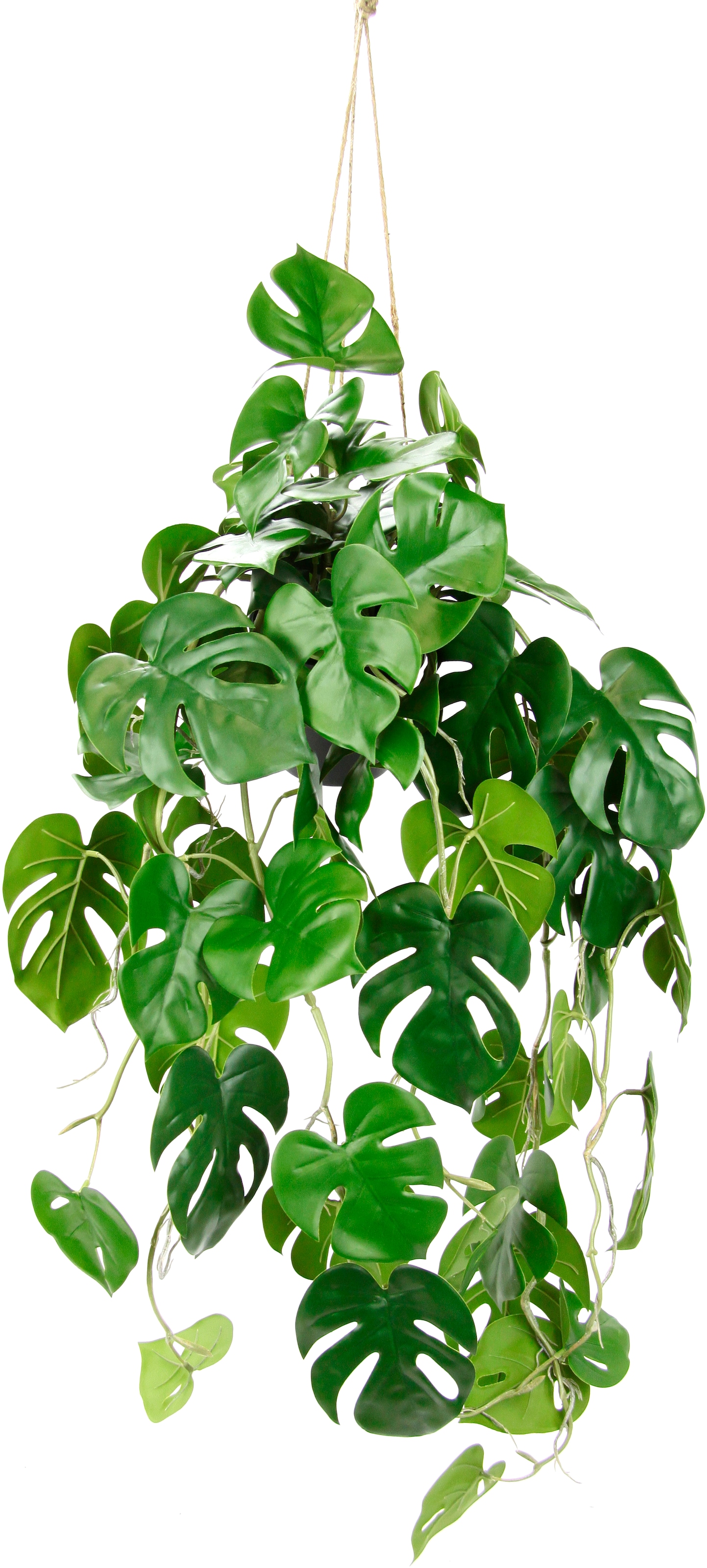 I.GE.A. Kunstpflanze "Künstliche Monstera Hängende Splitphilo Hängeampel", günstig online kaufen
