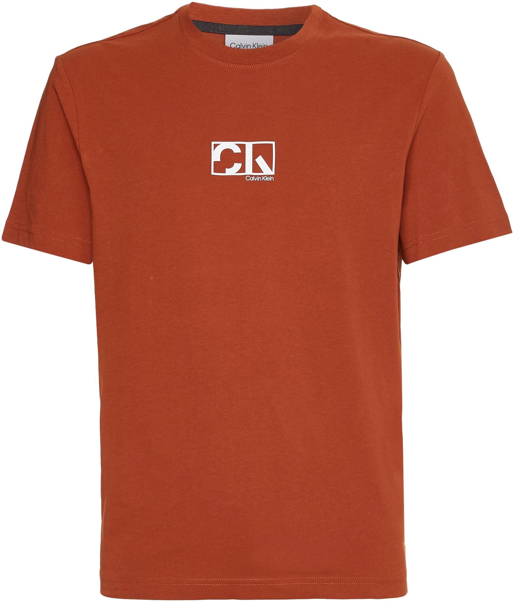 Calvin Klein T-Shirt »GRAPHIC BOX LOGO T-SHIRT«