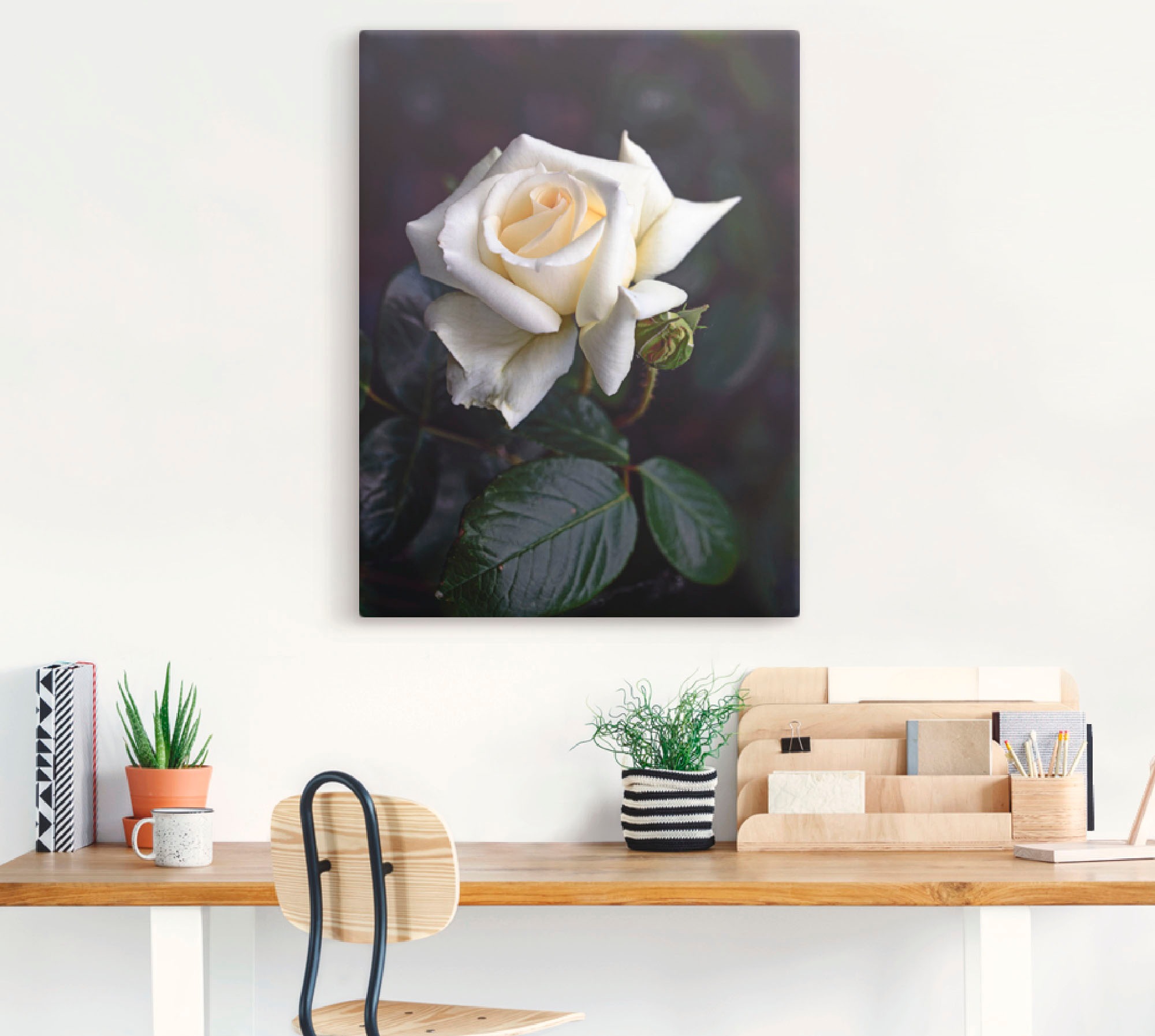 Artland Wandbild »Weiß-gelbe Rose«, Blumen, (1 St.), als Leinwandbild, Poster in verschied. Größen