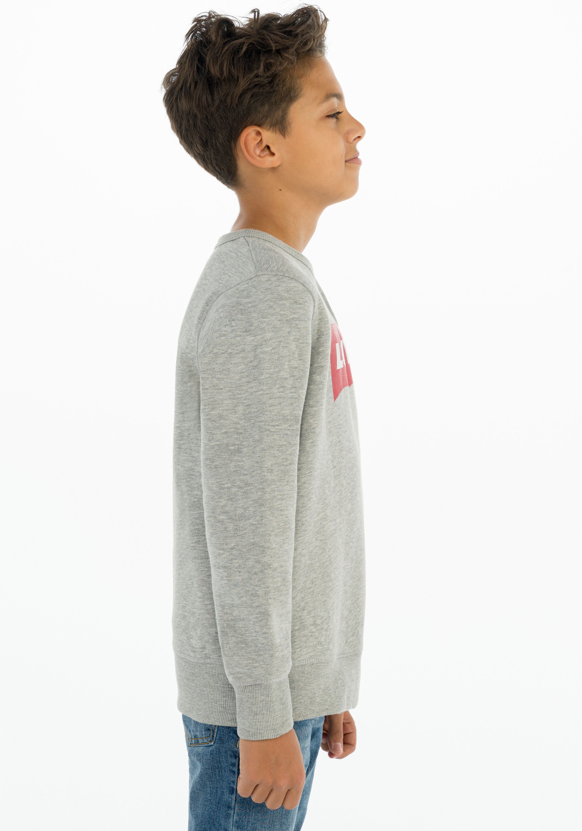 Levi's® Kids Sweatshirt »LVB LVB FRENCH TERRY BATWING«, mit großem Logo