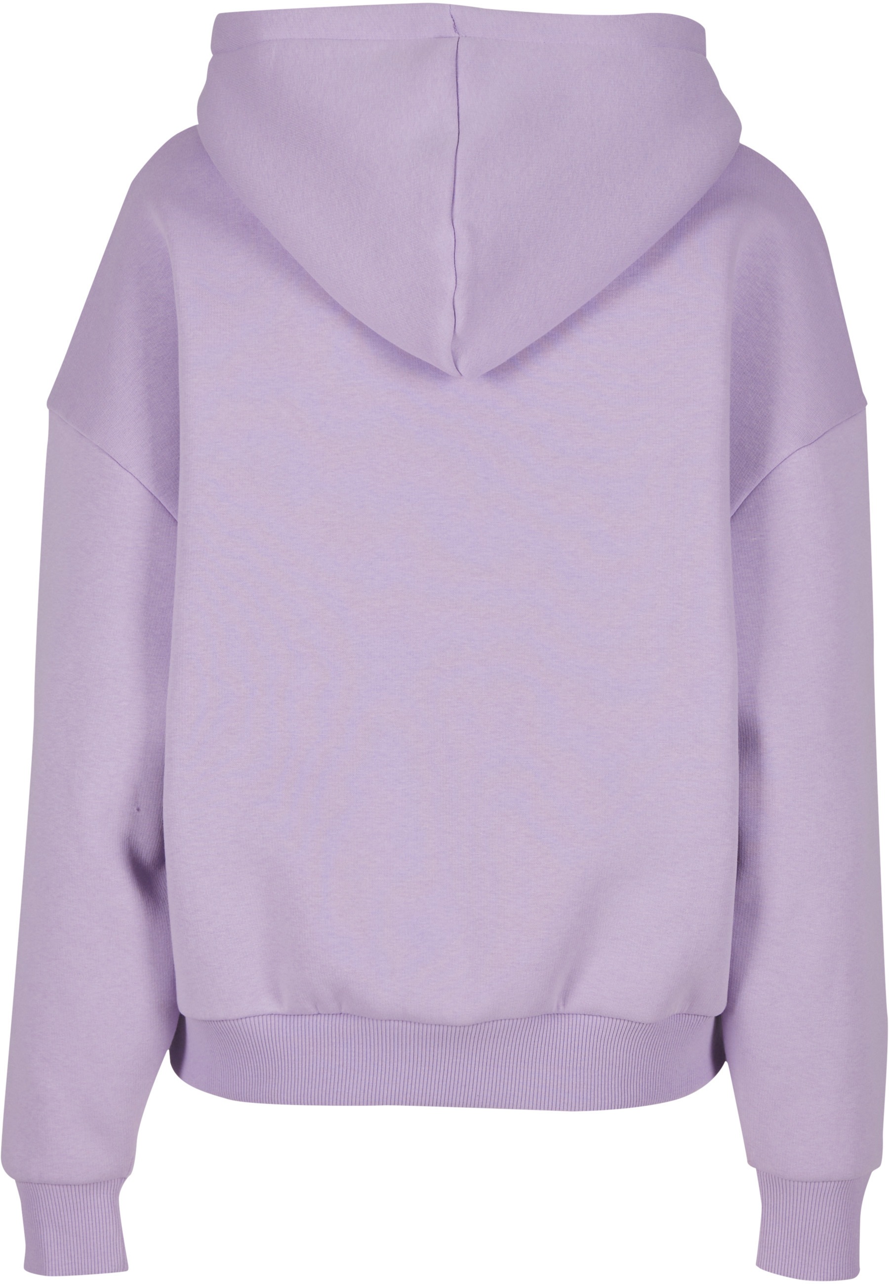 Karl Kani Kapuzensweatshirt "Karl Kani Small Signature Essential Os Hoodie" günstig online kaufen