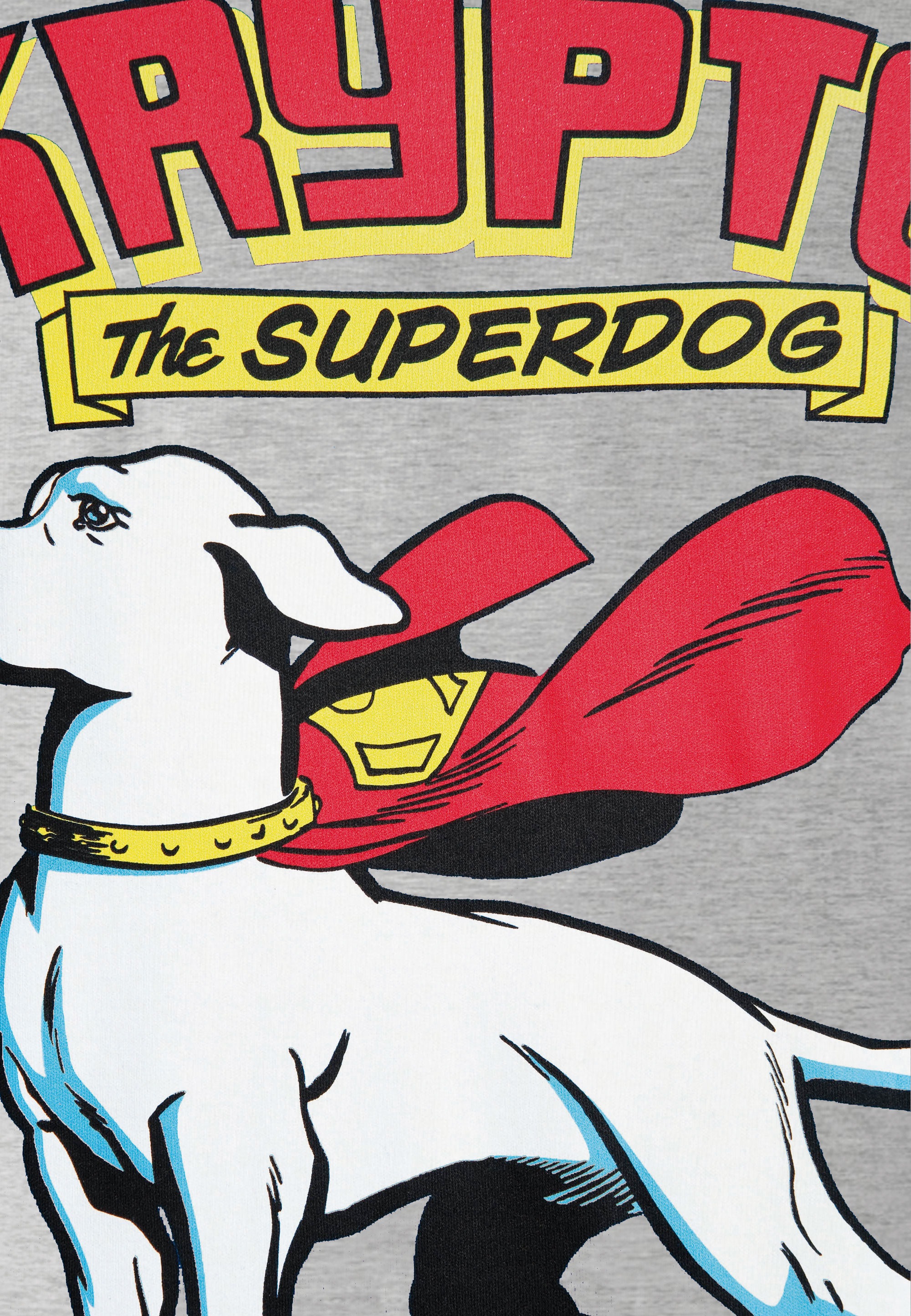 LOGOSHIRT T-Shirt »Superdog - Krypto - DC Comics«, mit coolem Retro-Motiv
