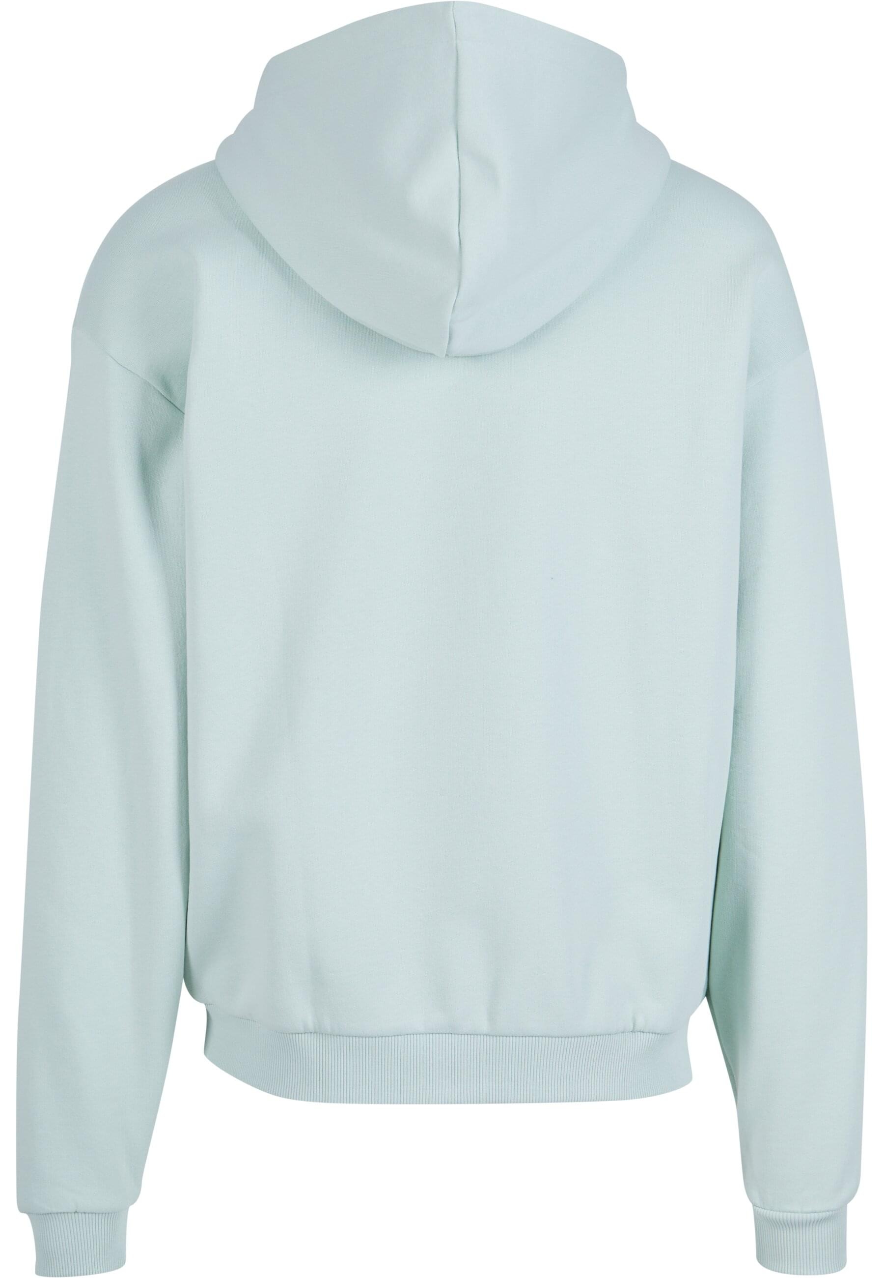 Karl Kani Kapuzensweatshirt "Karl Kani Herren", 1 Stk. günstig online kaufen