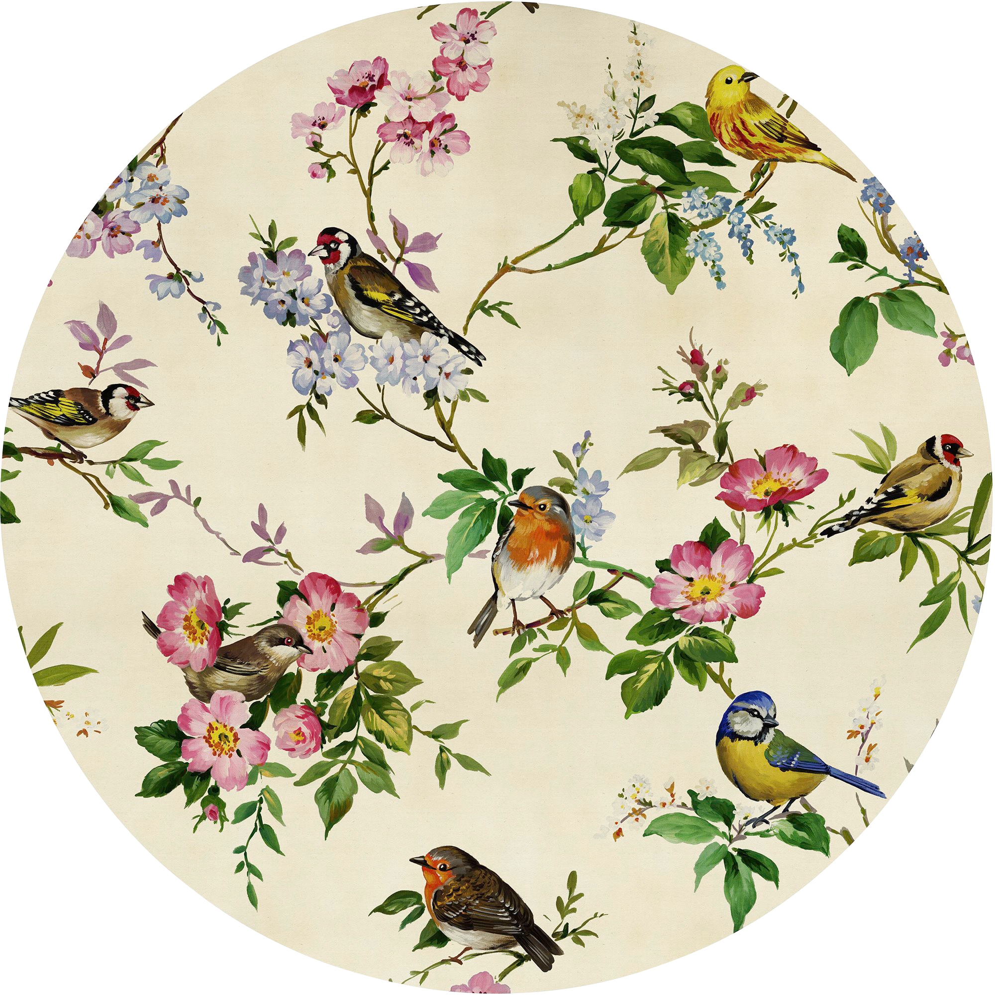 Komar Fototapete "Vlies selbstklebend - Bird Party - Größe 125 x 125 cm" bedruckt glatt Wohnzimmer, Schlafzimmer