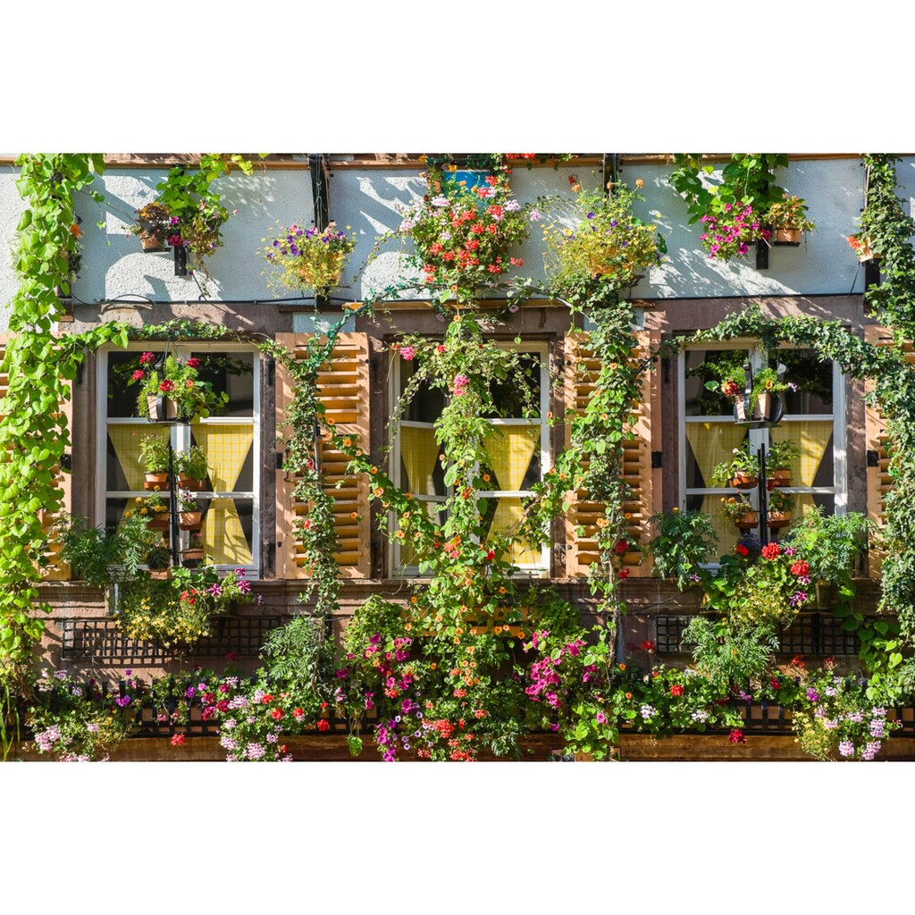 Papermoon Fototapete »Haus mit Pflanzen«