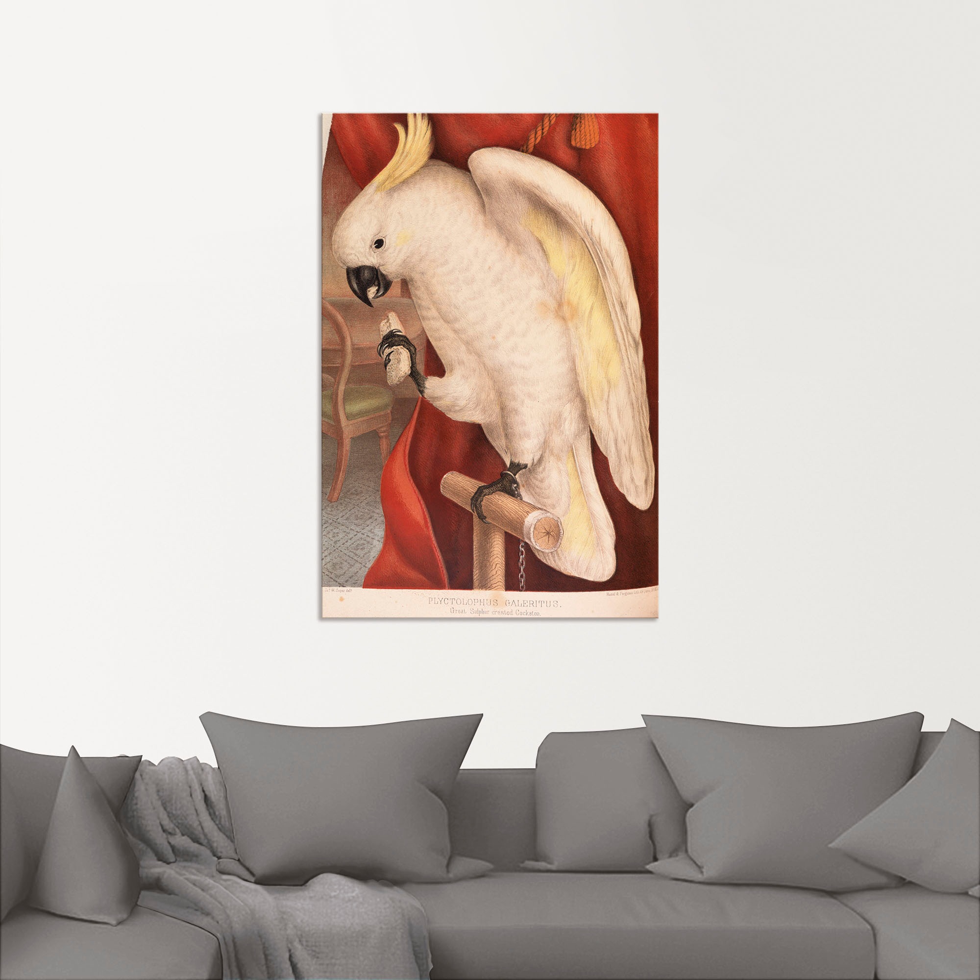 Artland Wandfolie »Großer Gelbhaubenkakadu«, Vogelbilder, (1 St.), selbstklebend