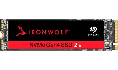 interne SSD »IronWolf®525«