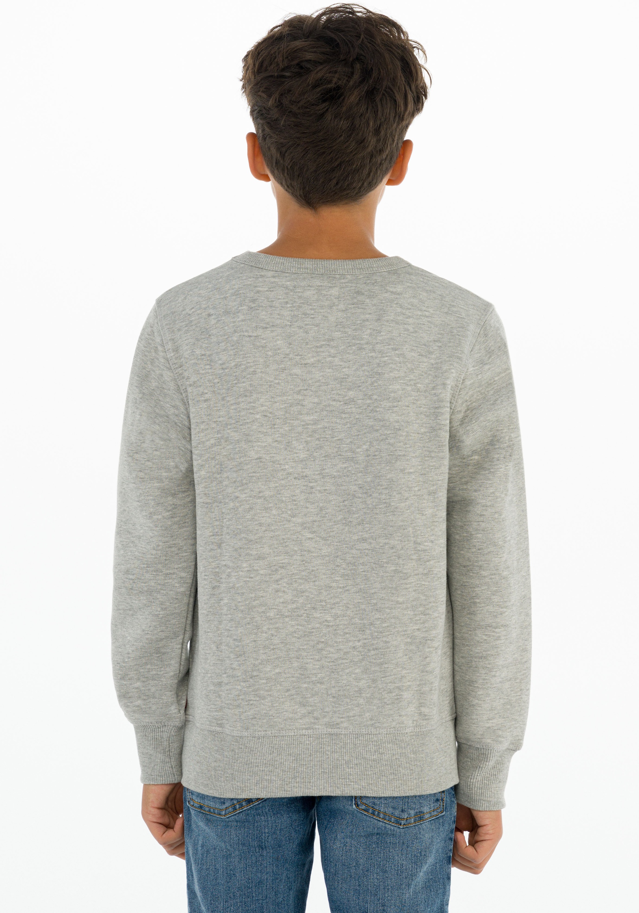 Levi's® Kids Sweatshirt »LVB LVB FRENCH TERRY BATWING«, mit großem Logo