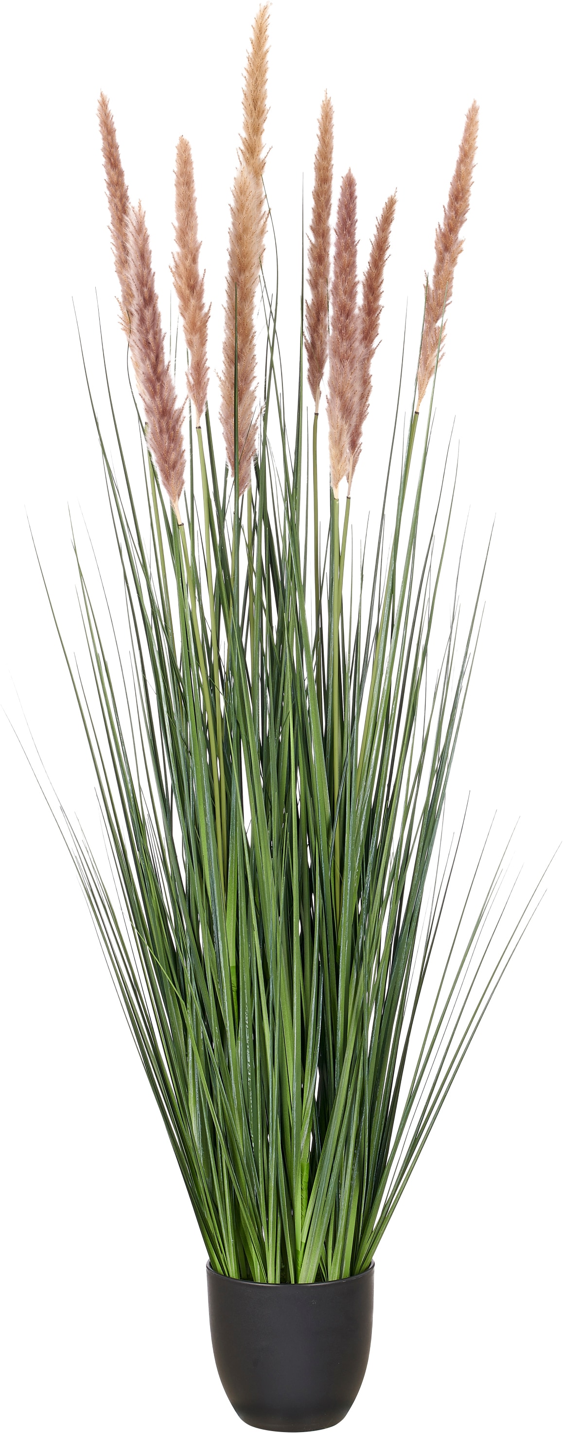Creativ green Kunstgras "Grasbusch Cortaderia selloana" mit Naturwedeln