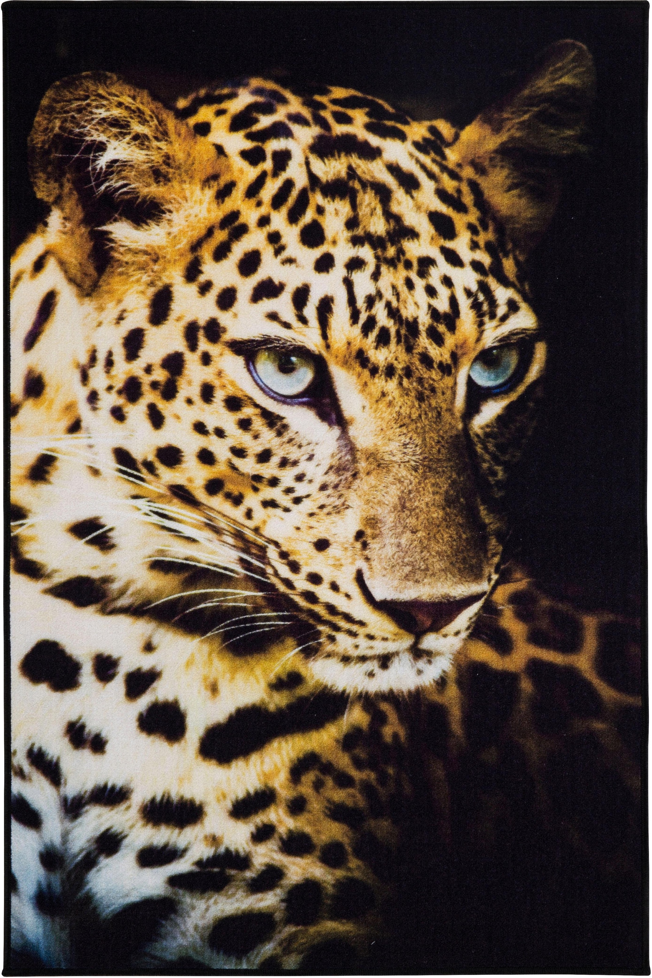 Andiamo Teppich »Leopard«, rechteckig, 4 mm Höhe, bedruckt, Motiv Leopard, ideal im Wohnzimmer & Schlafzimmer