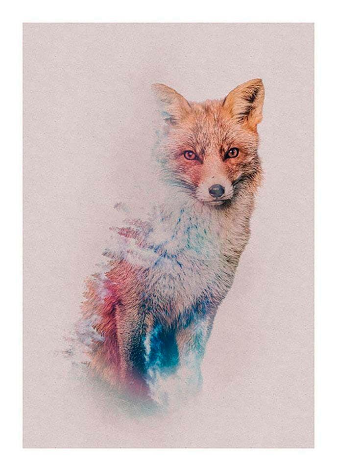 Komar Bild "Animals Forest Fox" Tiere 1 Stk. tlg. Wandbild zur Dekoration - ohne Rahmen