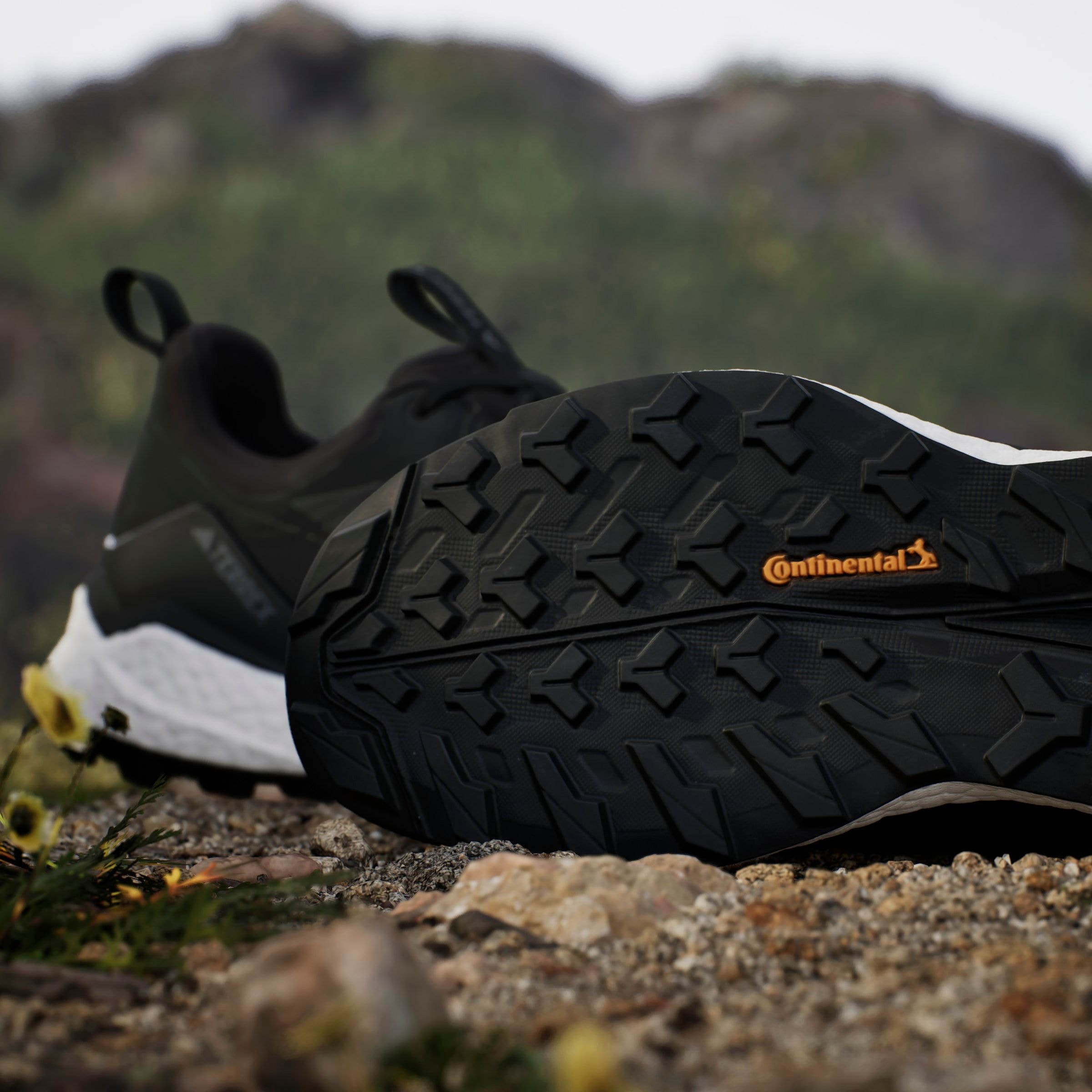 adidas TERREX Wanderschuh »TERREX FREE HIKER 2.0 LOW GORE-TEX«, wasserdicht