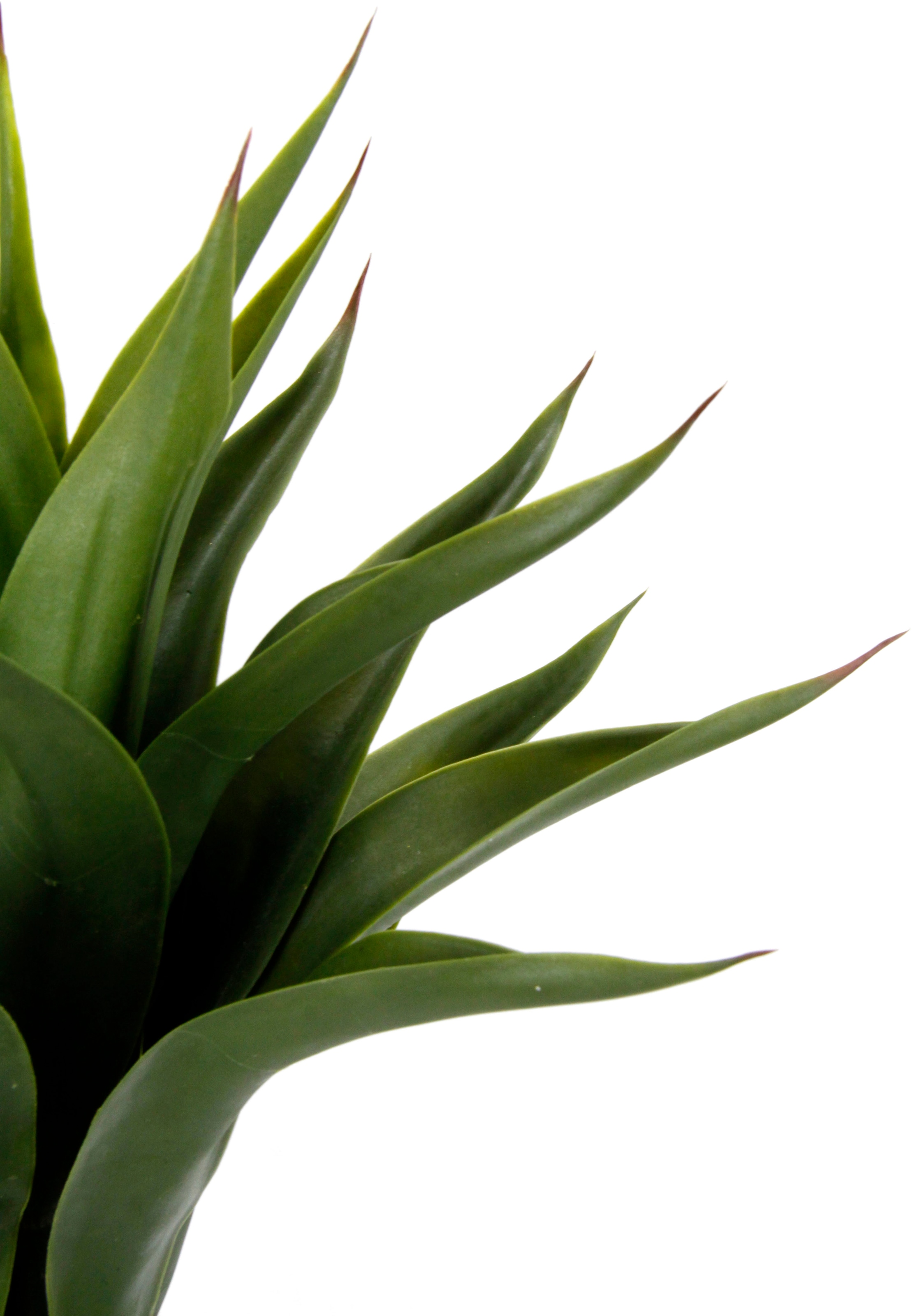 I.GE.A. Kunstpflanze »Künstliche Agave im Topf Pflanze Aloe Vera Sansevieria«, Grünpflanze Zimmerpflanze Palme