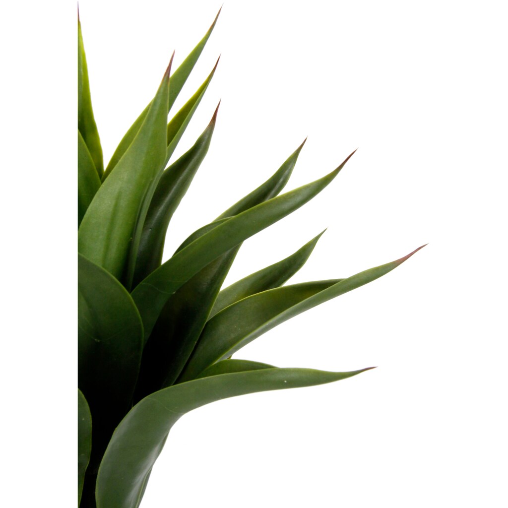 I.GE.A. Kunstpflanze »Künstliche Agave im Topf Pflanze Aloe Vera Sansevieria«