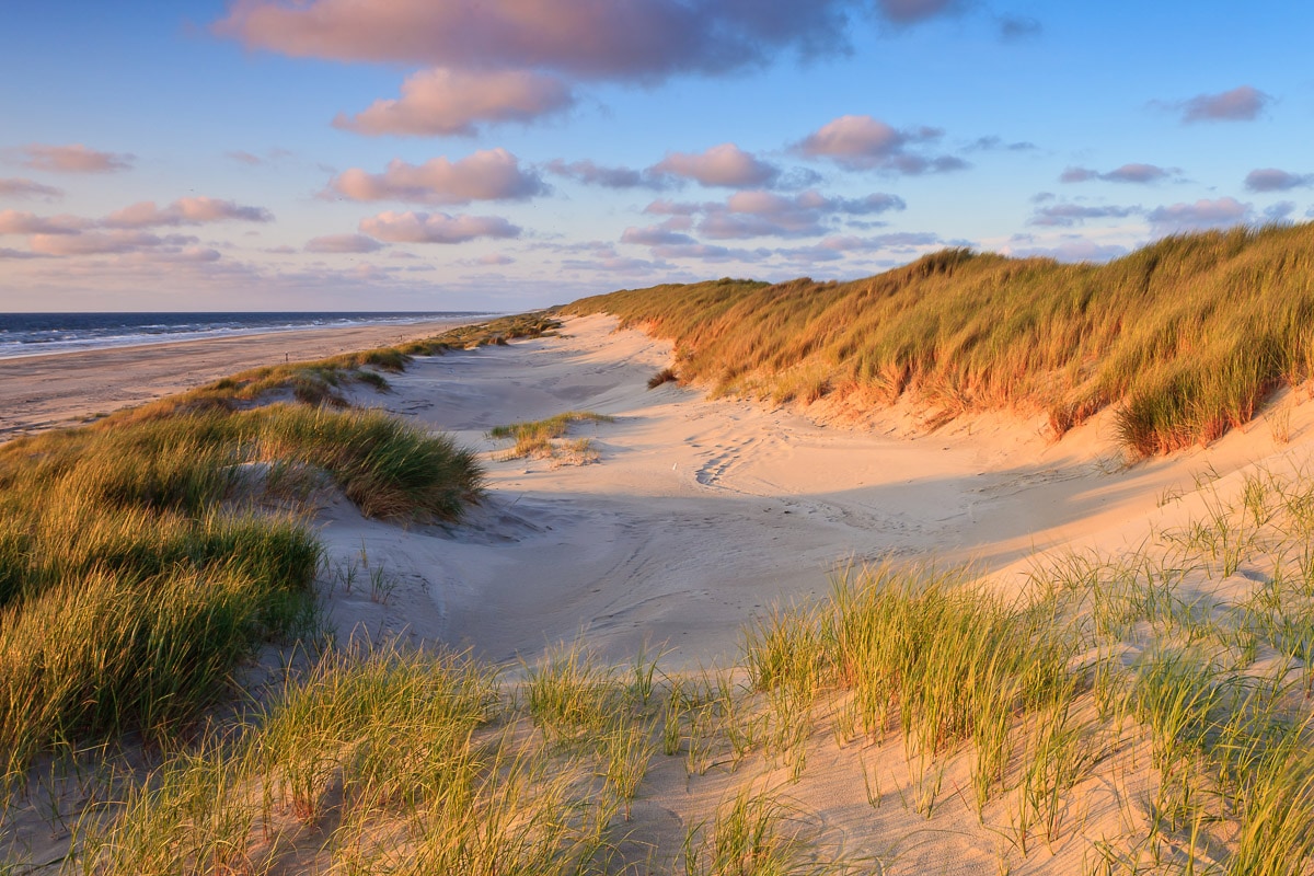 Papermoon Fototapete "Dunes Sunset" bedruckt glatt günstig online kaufen