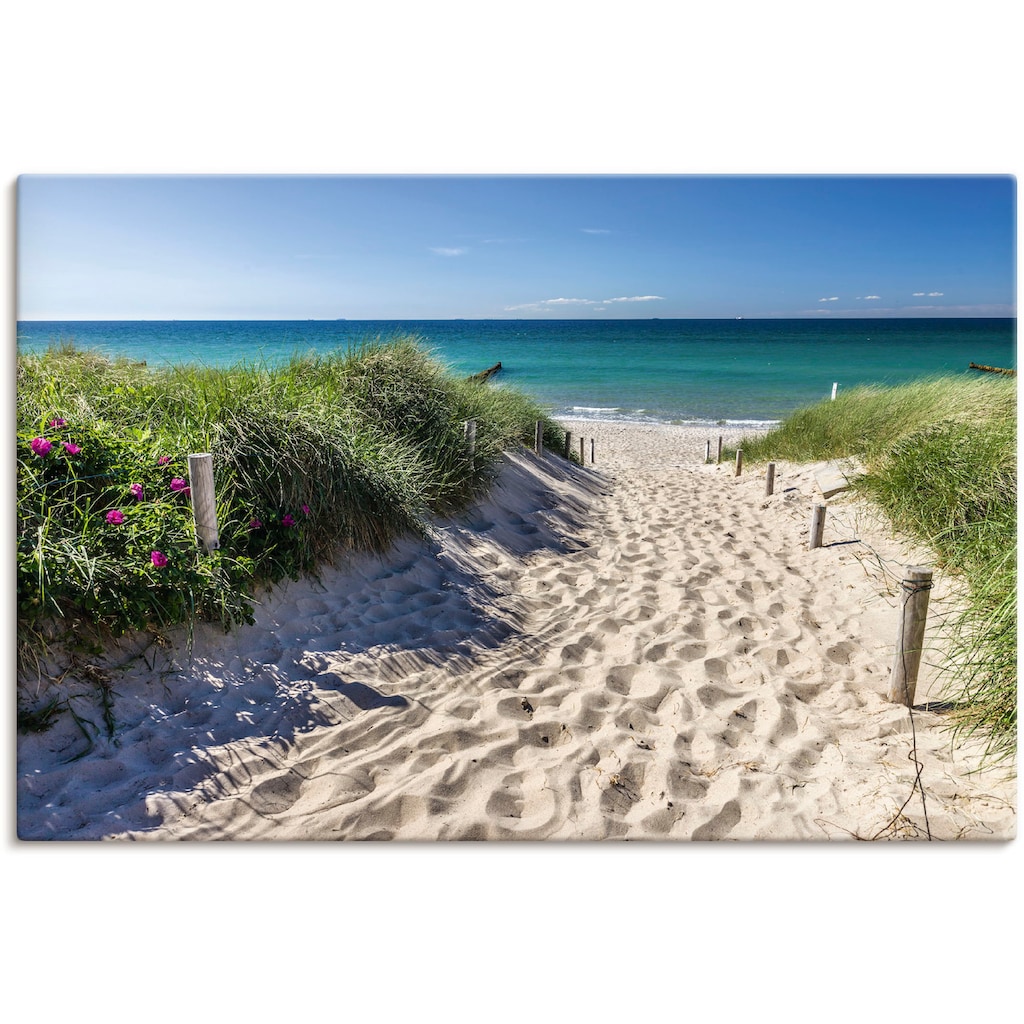 Artland Wandbild »Weg zum Strand an der Ostsee«, Strandbilder, (1 St.)