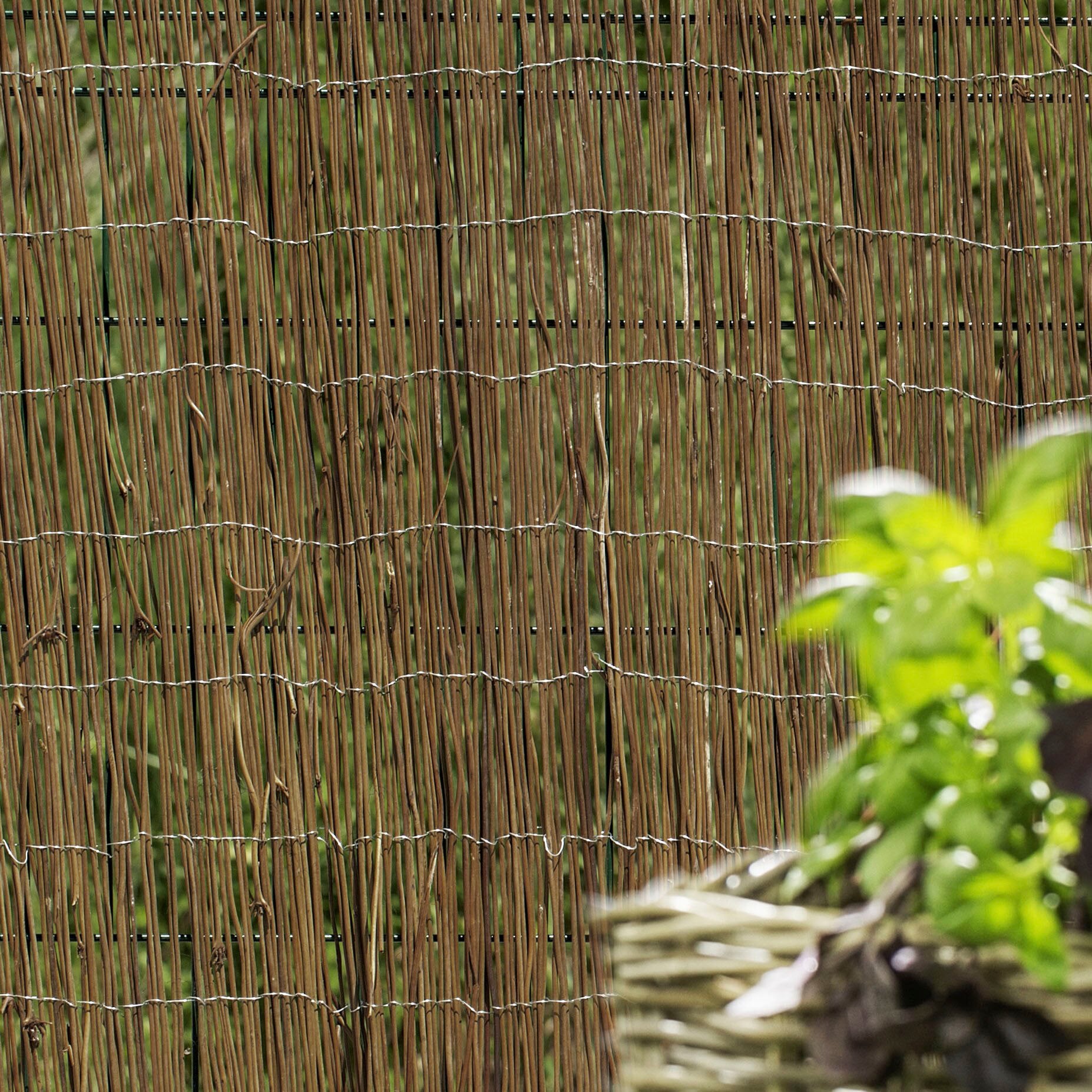 Windhager Sichtschutzzaunmatten, Sicht- und Windschutzmatte aus naturbelassenem Farn, L: 3 m