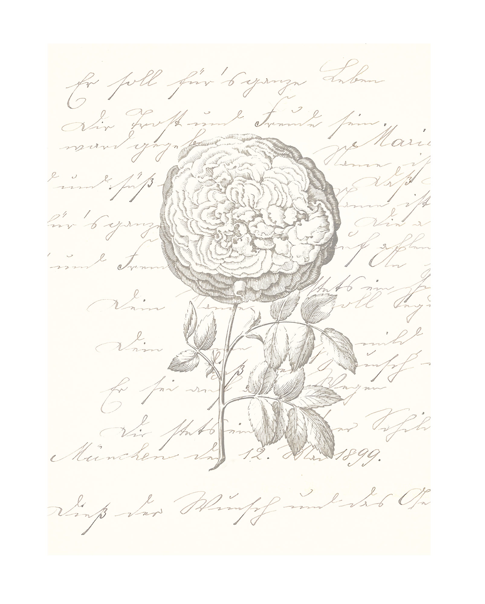 Komar Bild "Ma Chérie" Natur 1 Stk. tlg. Wandbild zur Dekoration - ohne Rah günstig online kaufen