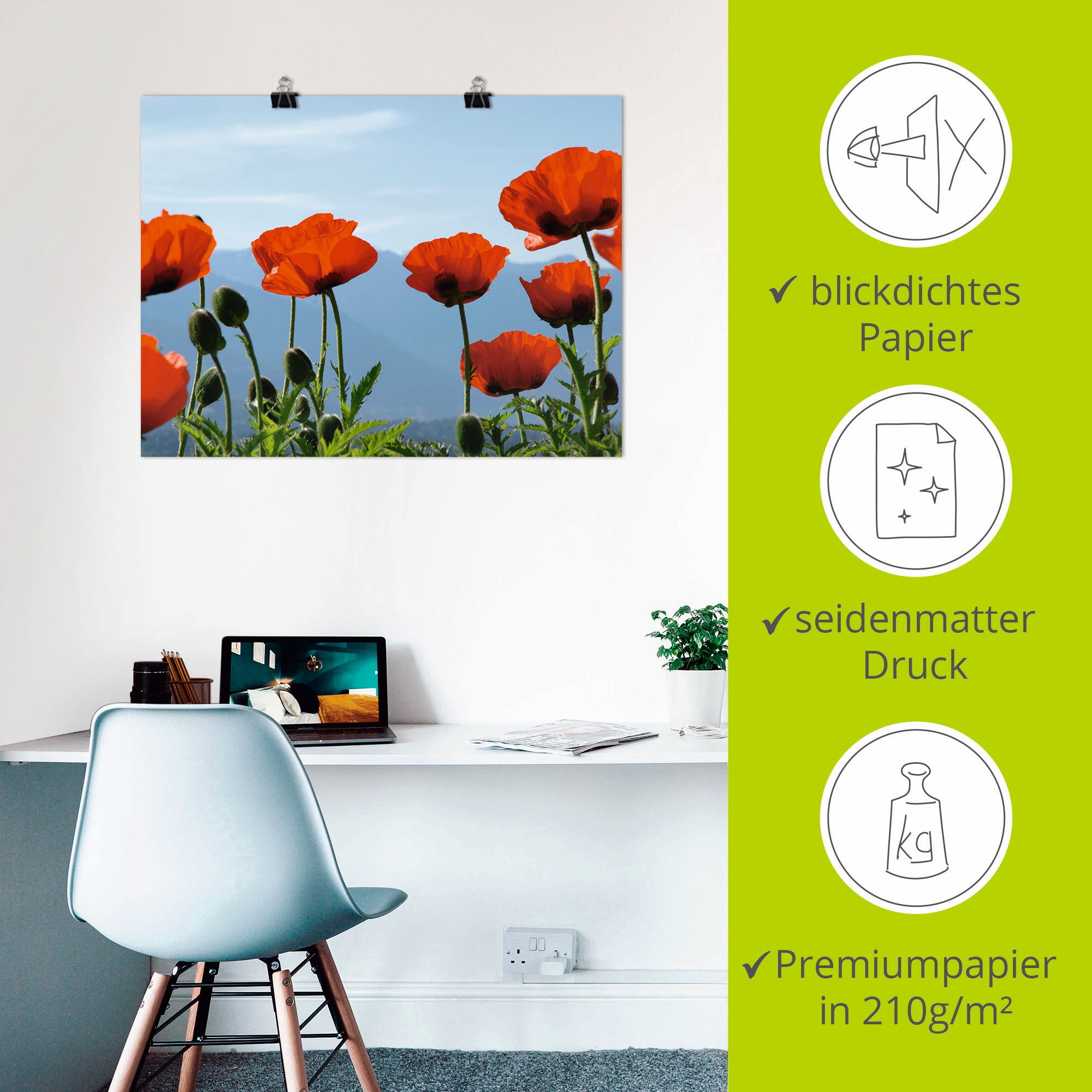Artland Wandbild »Mohnblüten«, Blumen, (1 St.), als Leinwandbild, Poster in verschied. Größen