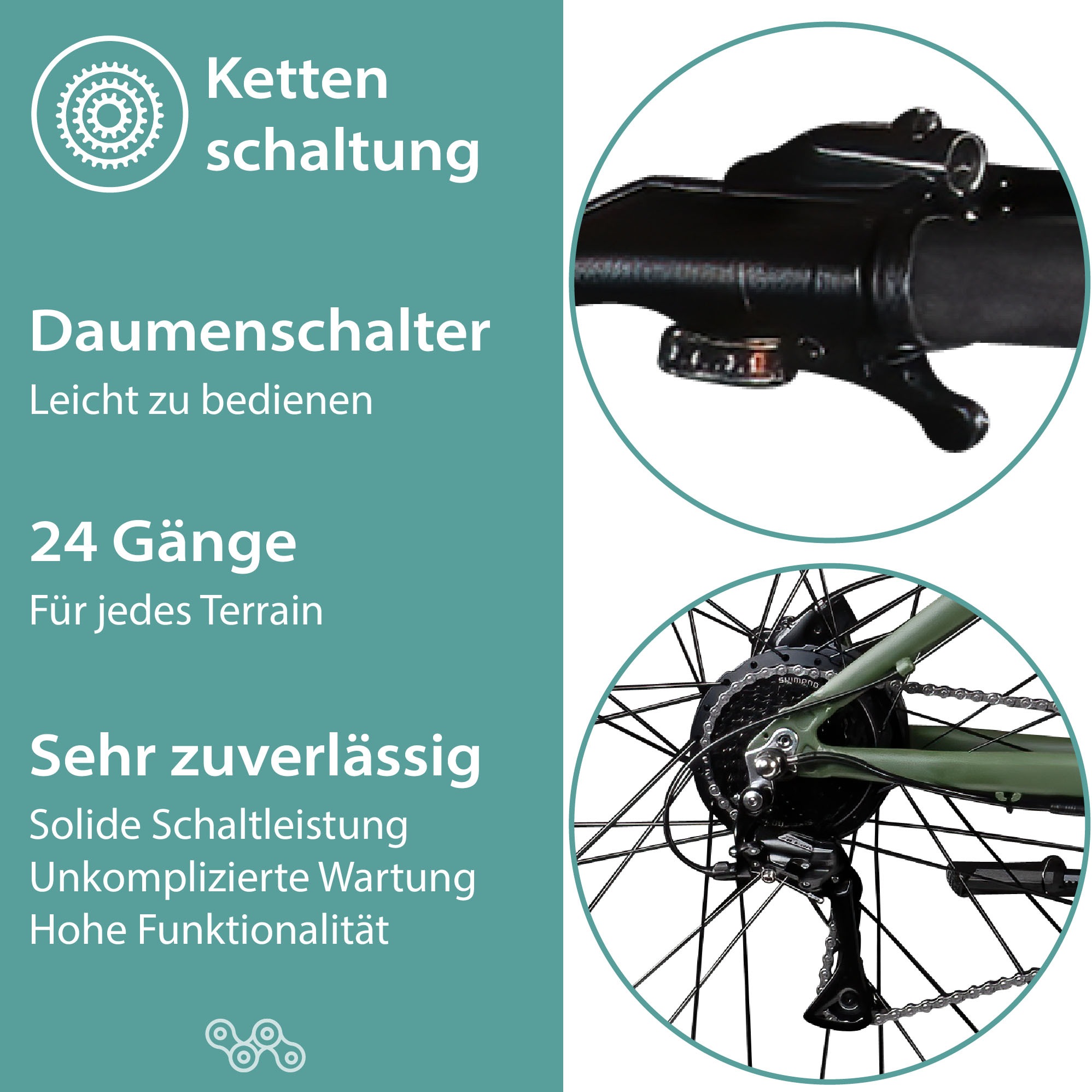Tretwerk E-Bike »Commander Plus«, 24 Gang, Shimano, Altus M310, Heckmotor 250 W