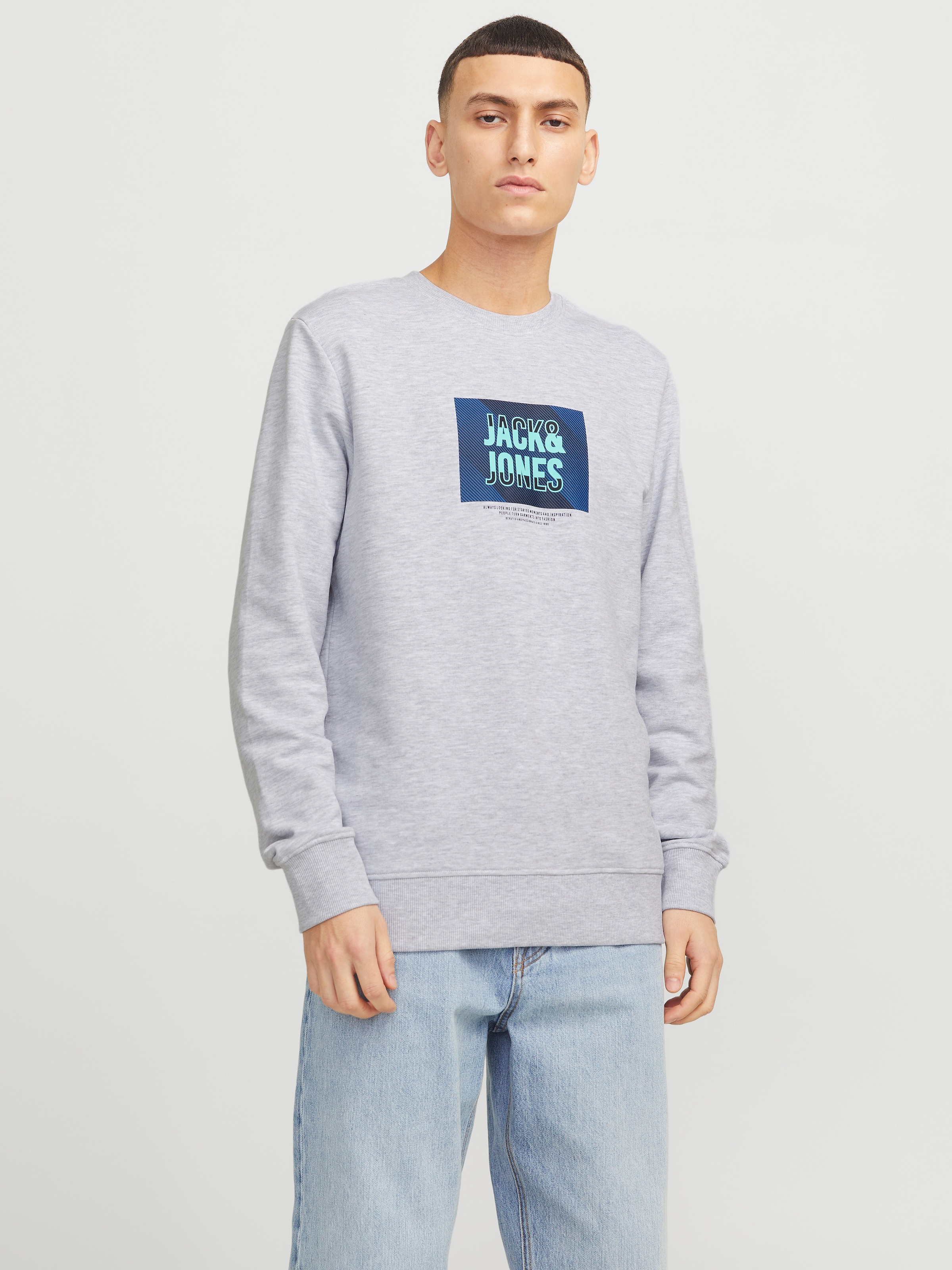 Jack & Jones Sweatshirt "JJHUDSON – Sweatshirt mit Print, Rundhals und Kapu günstig online kaufen