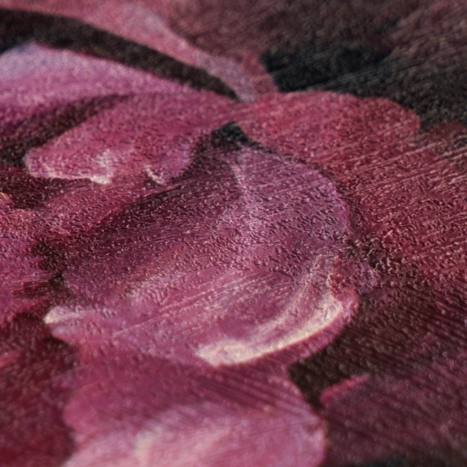 A.S. Création Vliestapete »Trend Spectrum Peony – Opulente Pfingstrosen Vliestapete« floral | geblümt | leicht glänzend strukturiert Opulente Pfingstrosen mit lebendiger Farbwirkung und Struktur
