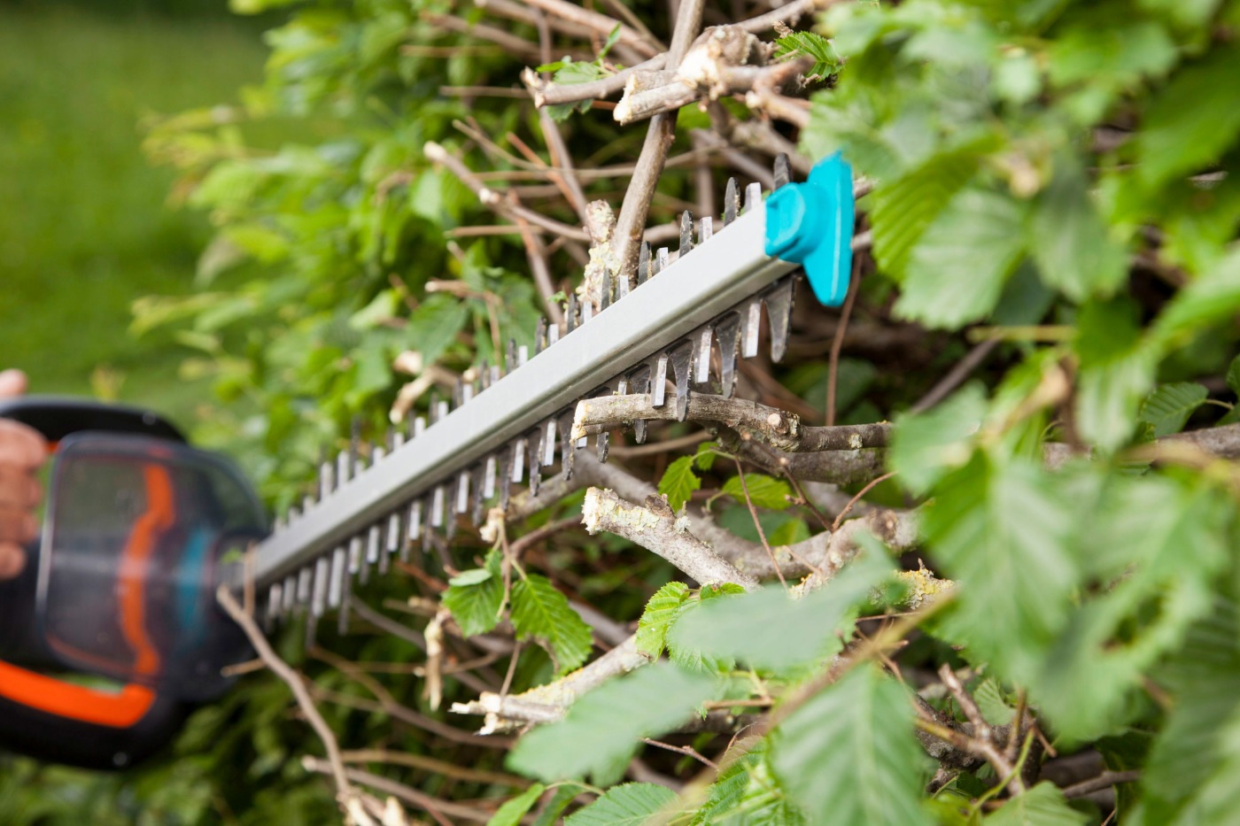 GARDENA Elektro-Heckenschere »PowerCut 700/65, 09835-20«, 65 cm Schnittlänge