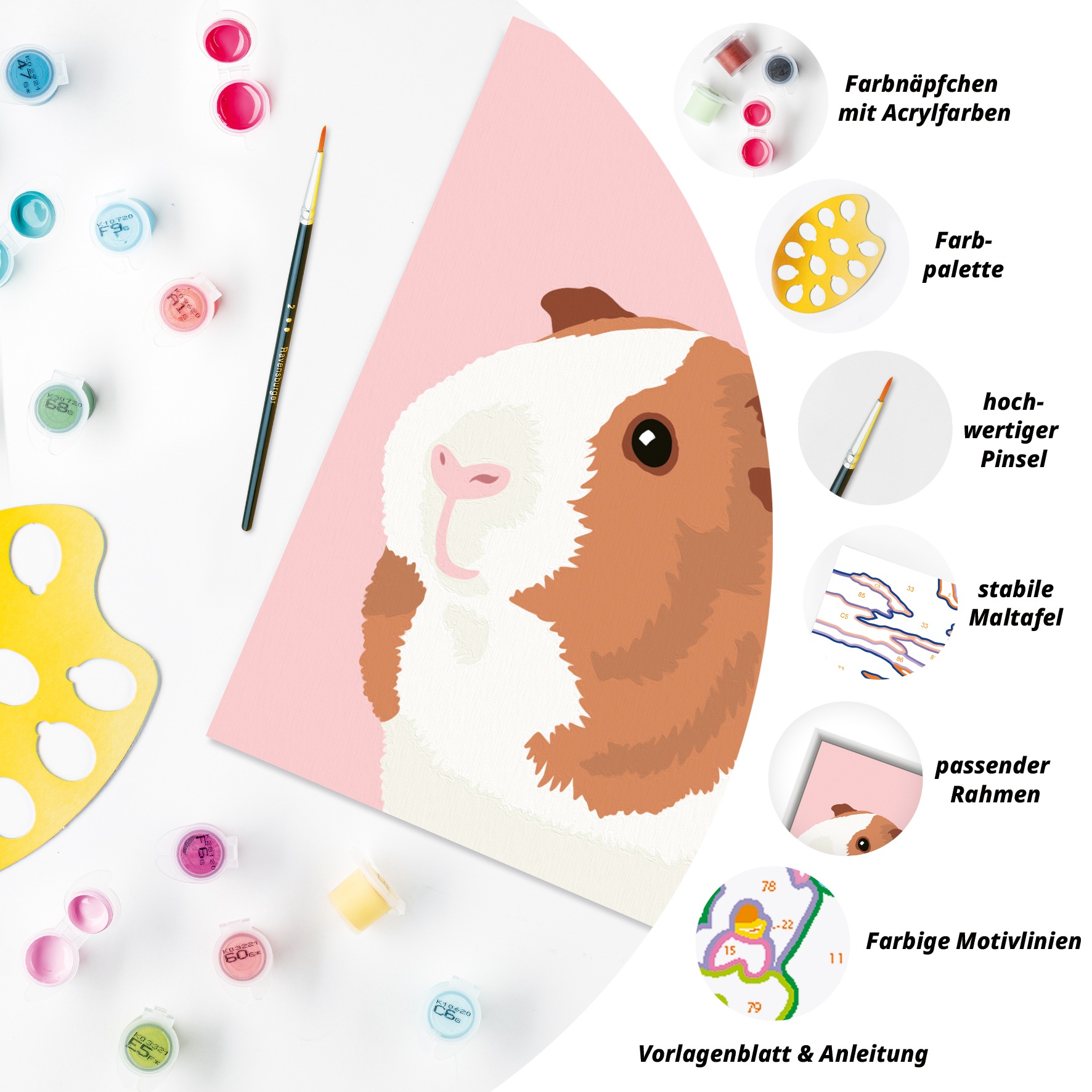 Ravensburger Malen nach Zahlen »CreArt, Niedliches Meerschweinchen«, Made in Europe