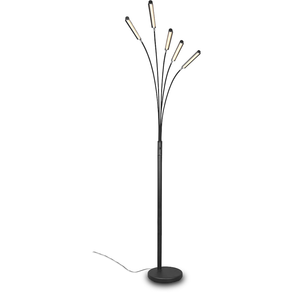 Wohnen Lampen & Leuchten TRIO Leuchten LED Stehlampe »Reed«, LED-Modul, Warmweiß Wohnen Lampen & Leuchten TRIO Leuchten LED Stehlampe »Reed«, LED-Modul, Warmweiß