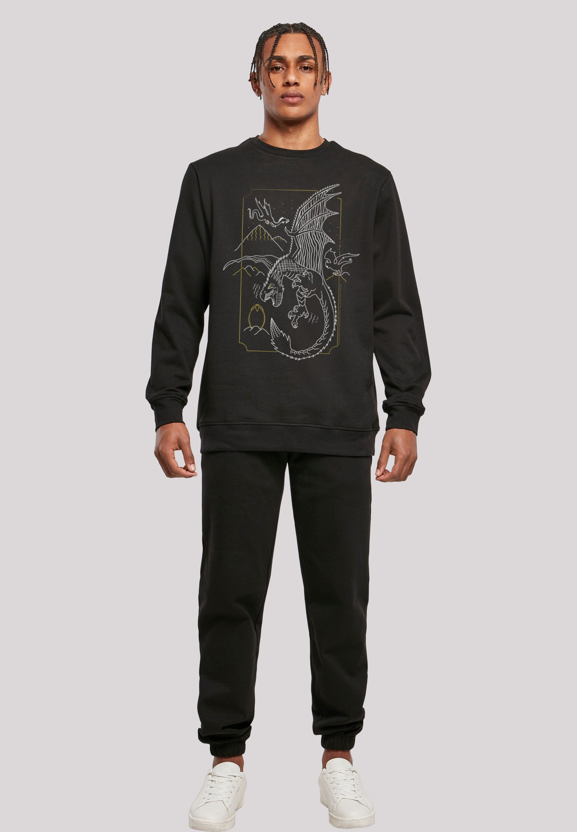F4NT4STIC Sweatshirt »Harry Potter Dragon Line Art«, Print