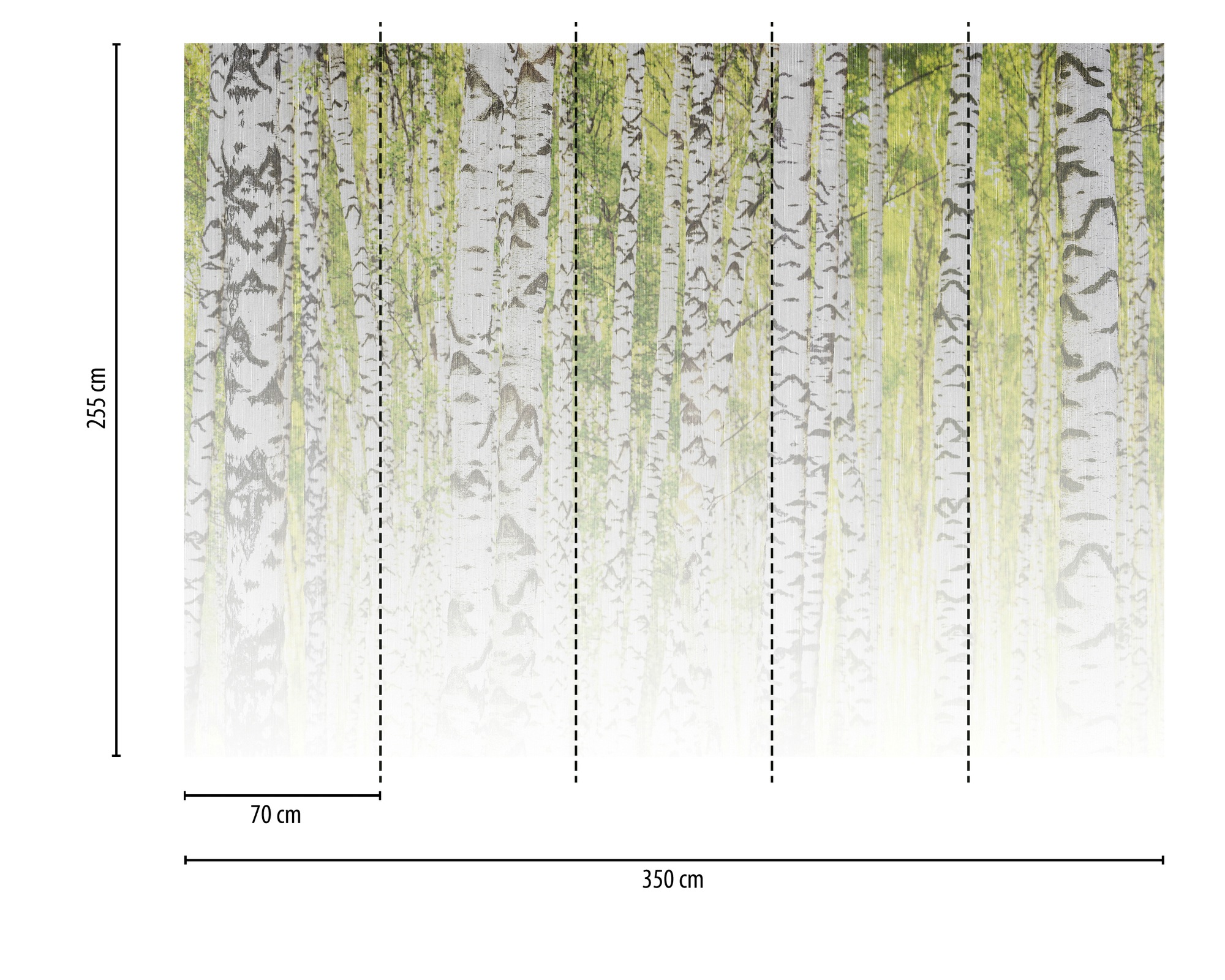 A.S. Création Vliestapete »Fototapete Birkenwald Grün Weiß Naturtapeten« matt strukturiert